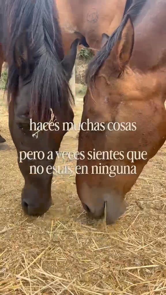 Vídeo UGC 1 de Carla