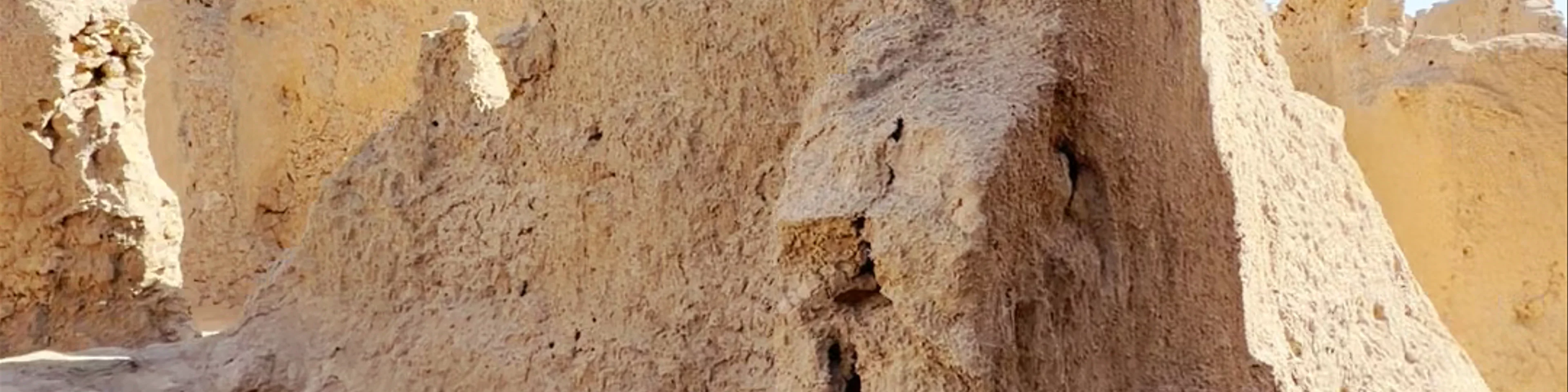Shali Fortress