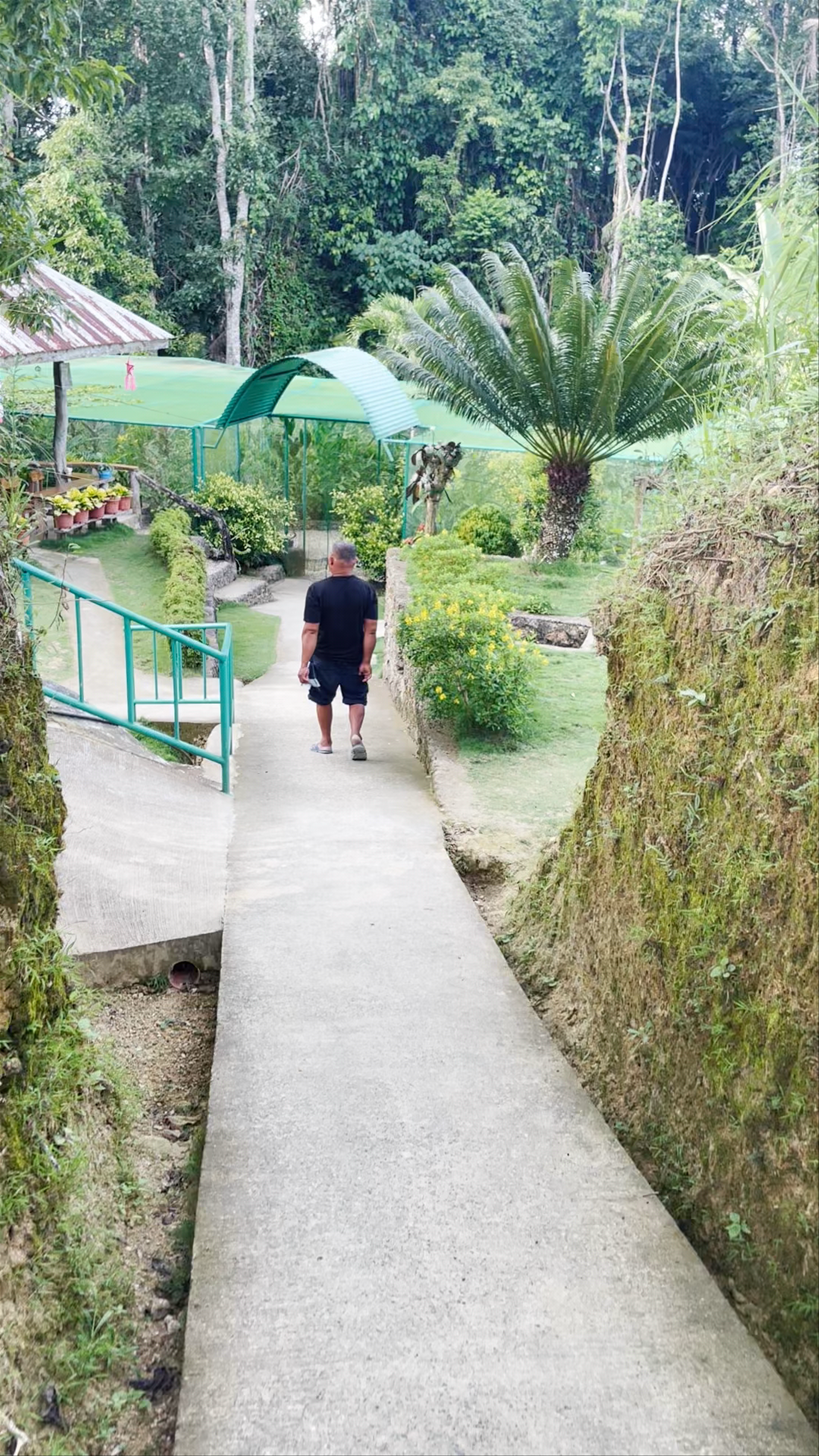 Butterfly Sanctuary Enchantment in Lazi, Siquijor