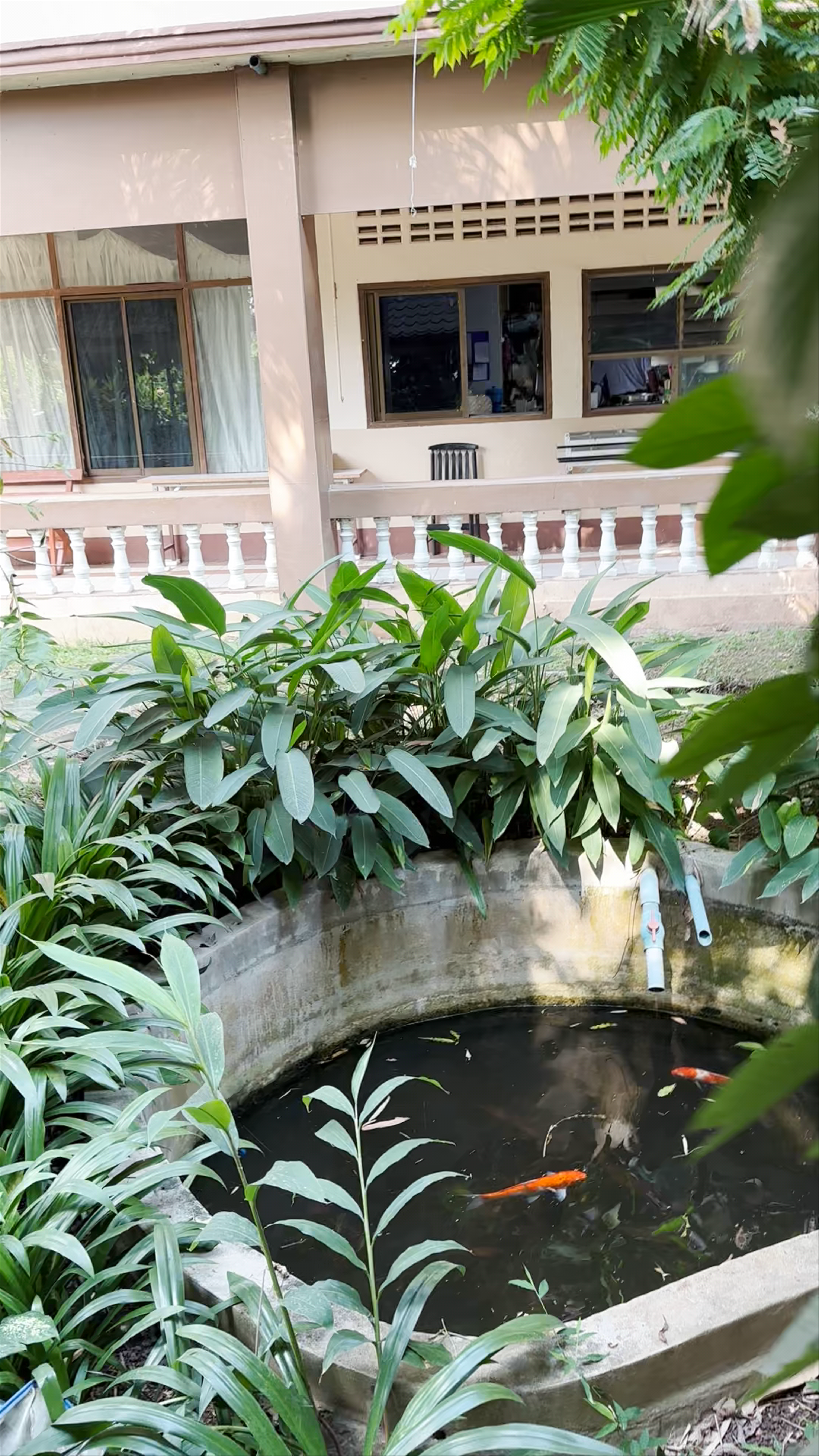 ร้านอาหารครัวไท (Thai Kitchen )