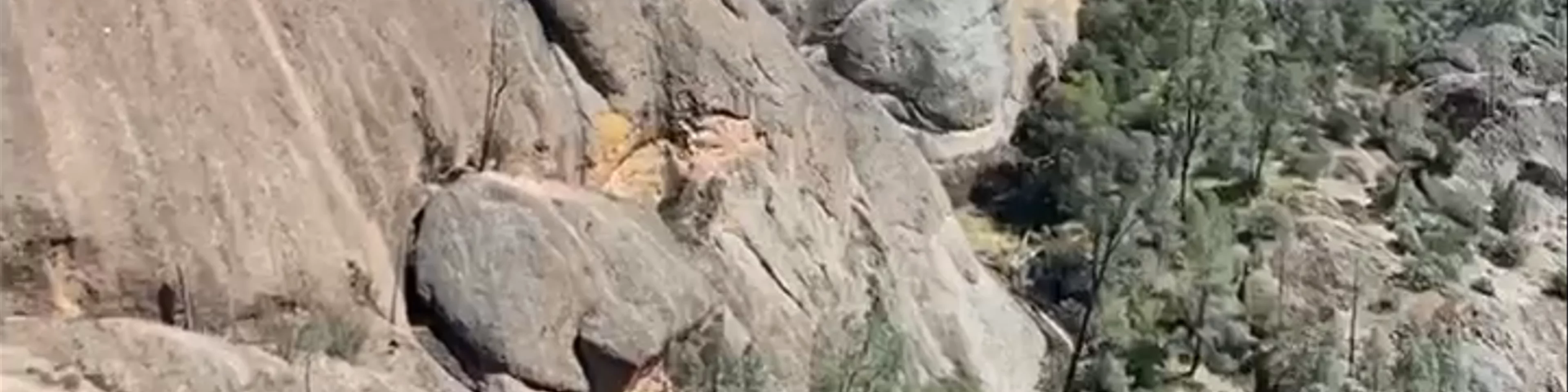 Pinnacles National Park