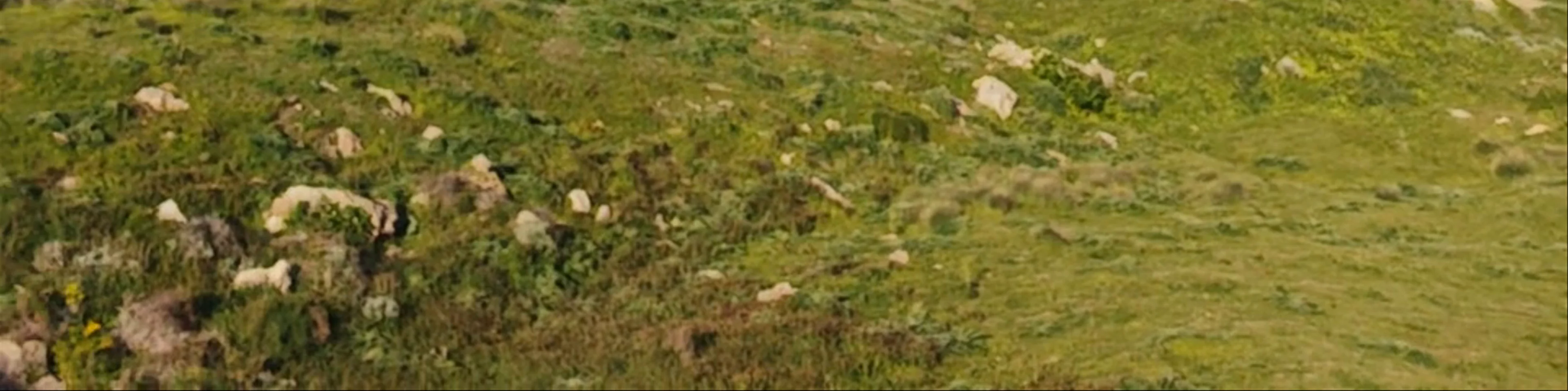 Clay Cliffs
