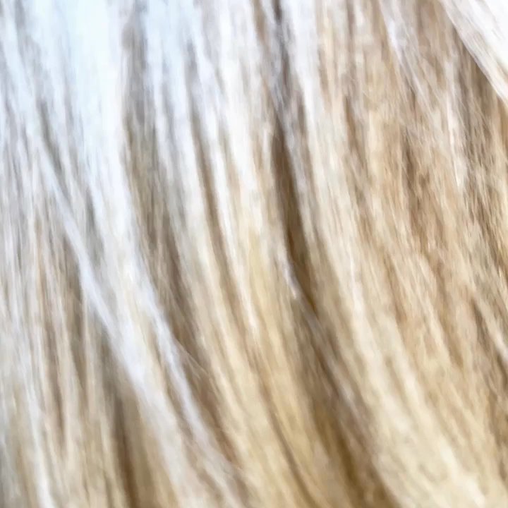 Adore Salon - Hair Salons Near Me - Montclair, California