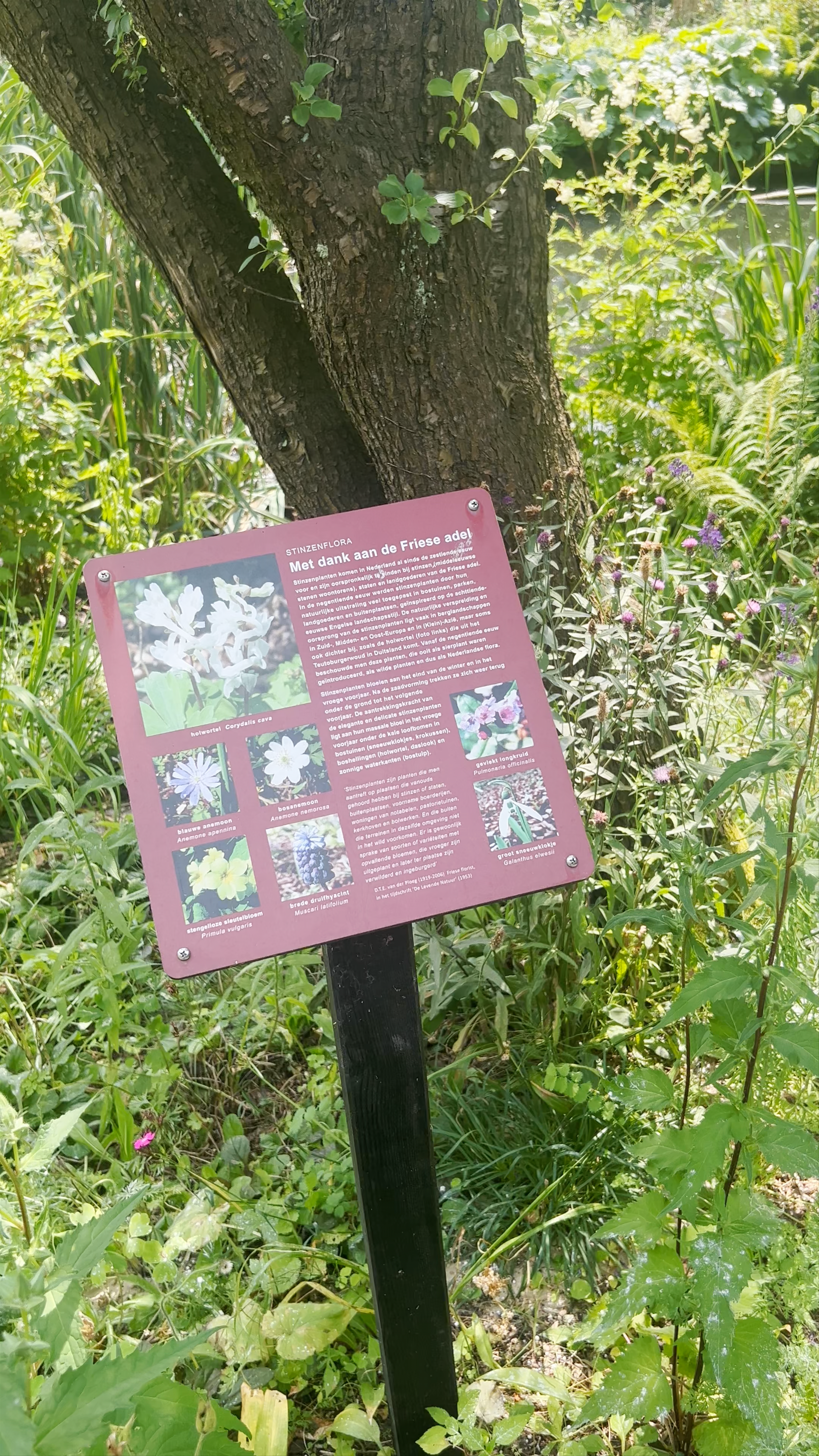 Hortus Botanicus