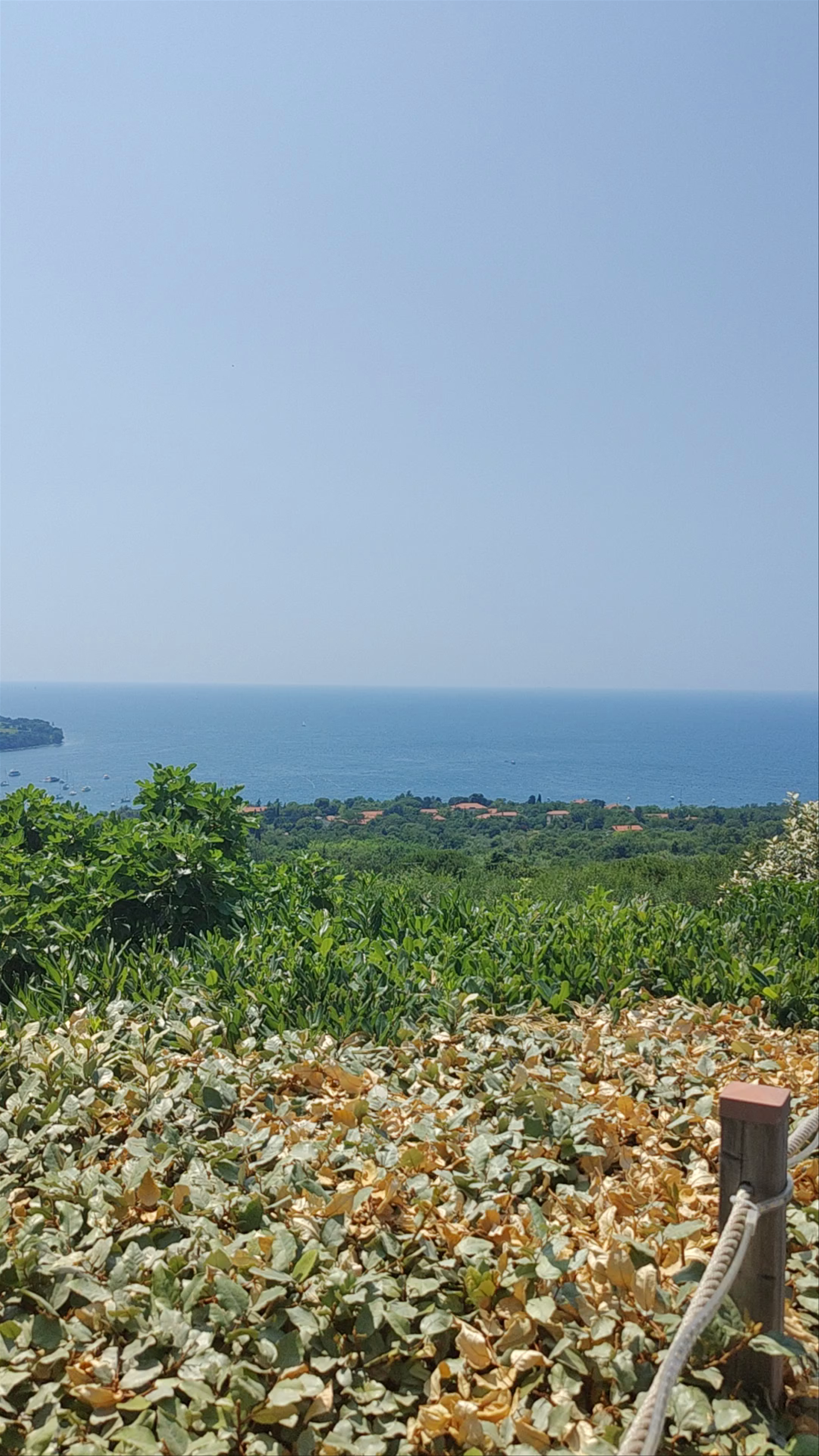 Ristorante Azienda Agricola Scheriani