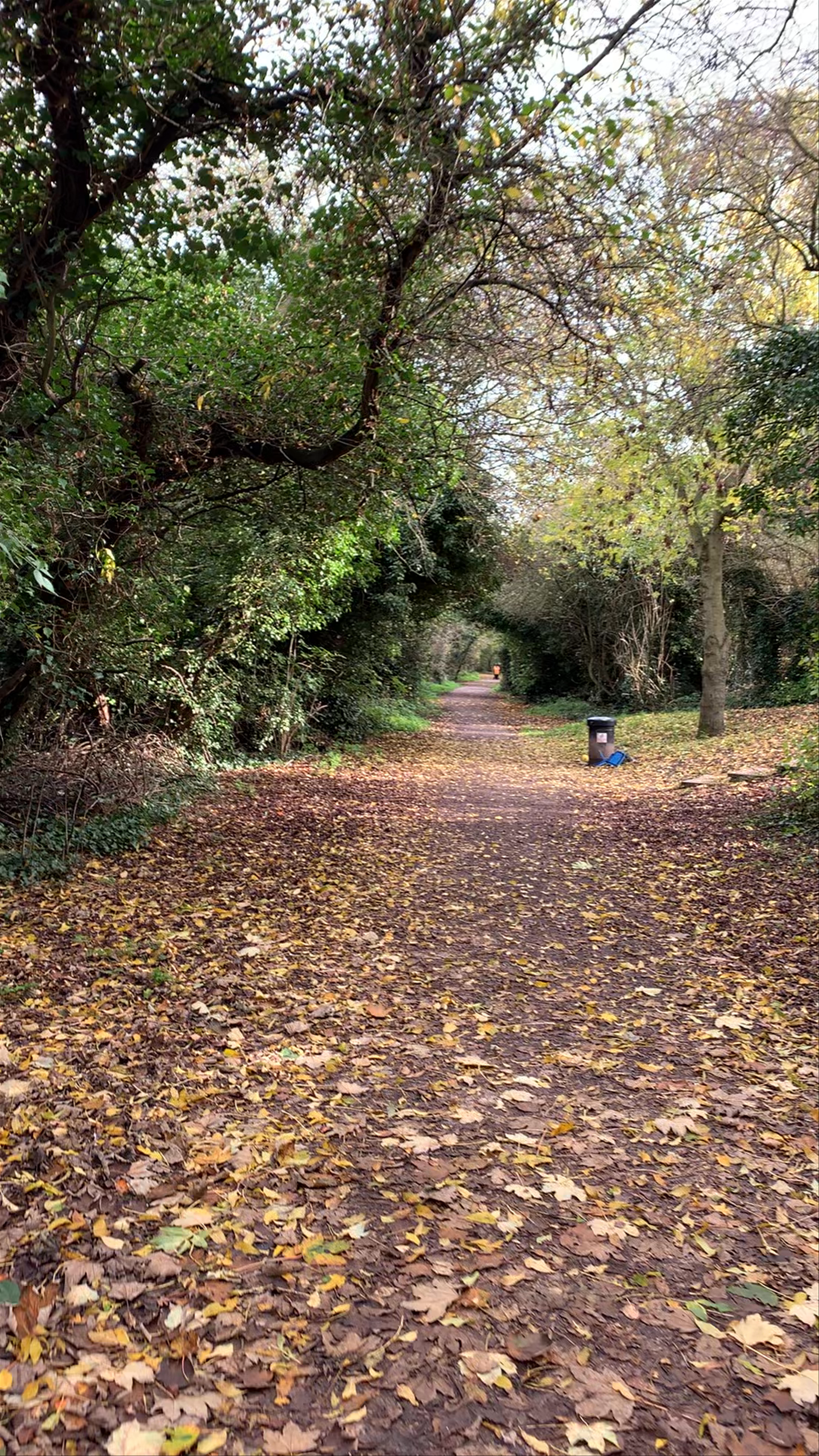 Linear Walk