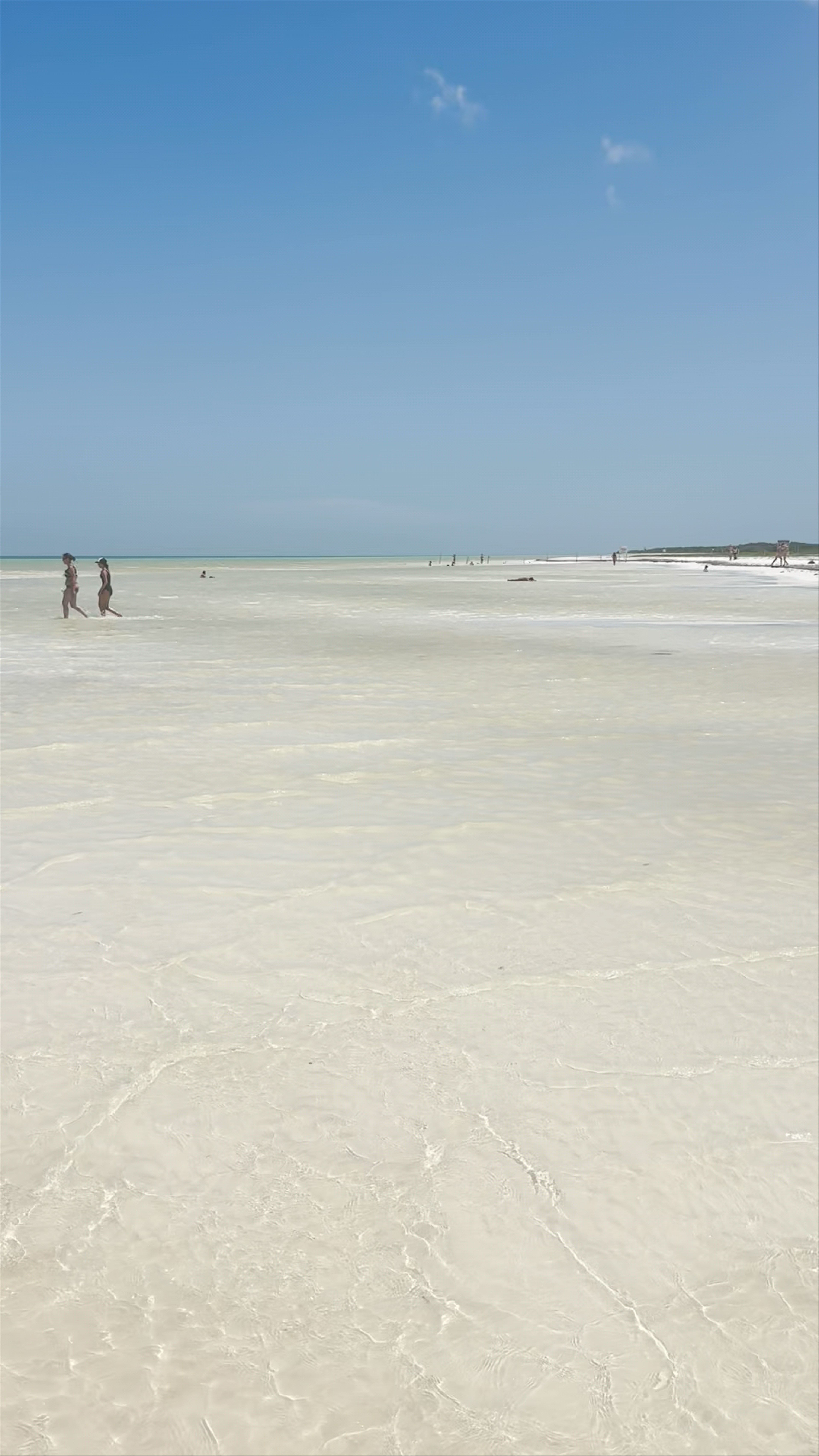 Punta Mosquito Beach Walk: Crystal Clear Waters in Holbox, Mexico