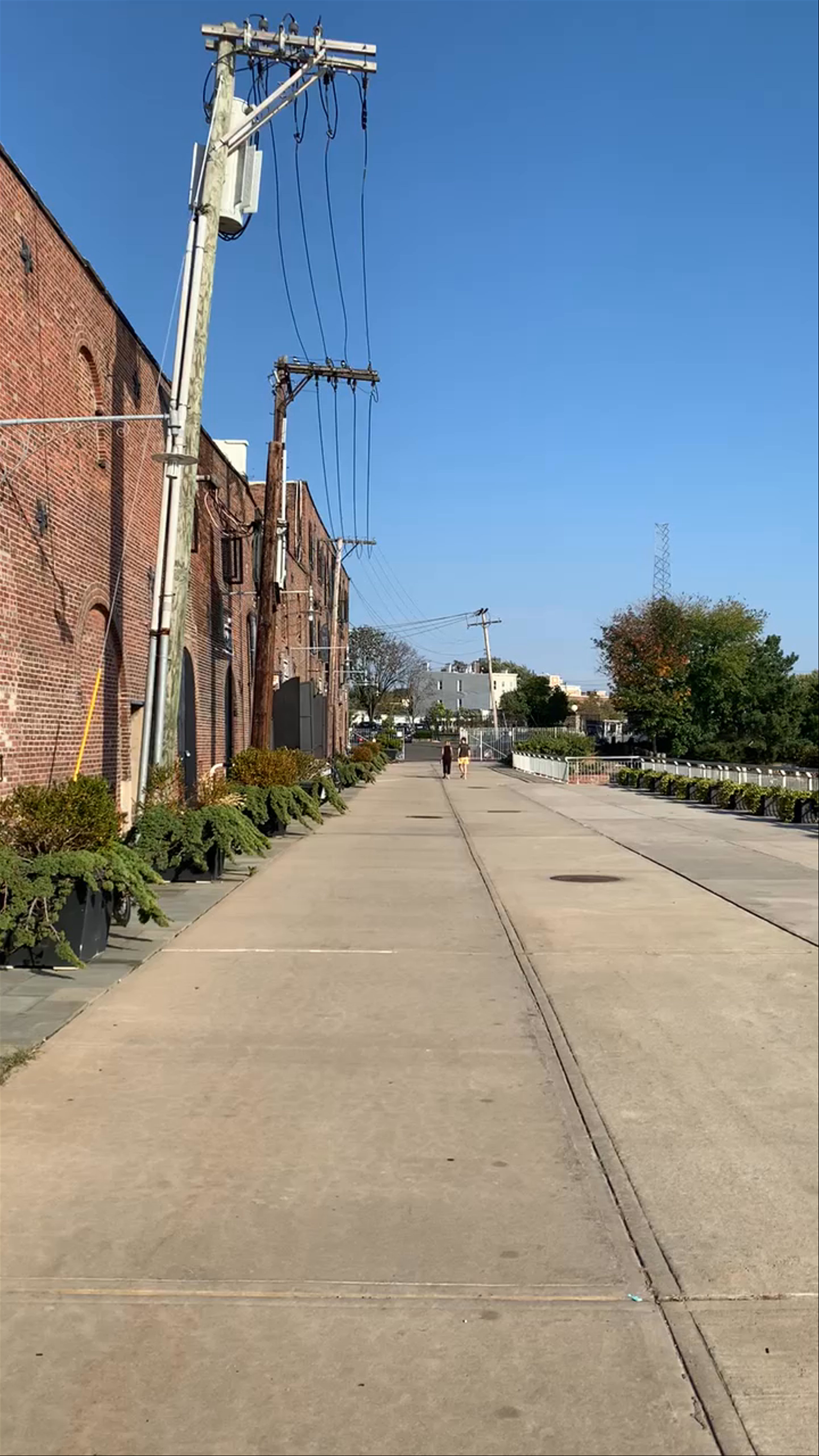 Sunlit Stroll at The Red Hook Winery, Brooklyn