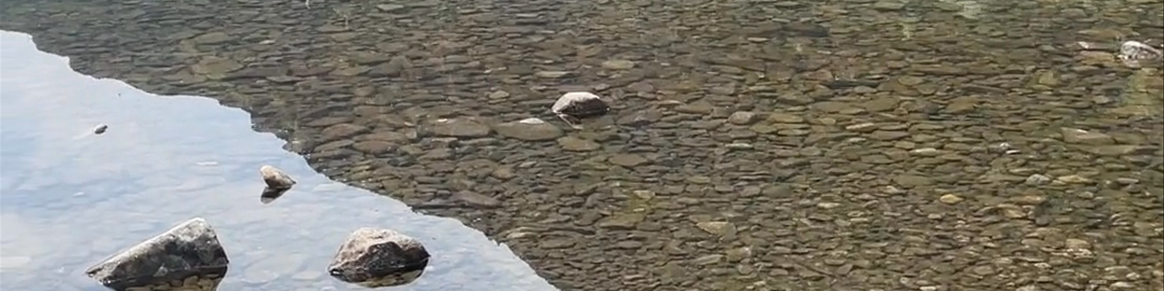 Popradské pleso