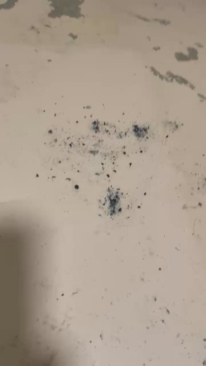 Standard Water Control Systems - Ashes from the fire that I had to clean up afterwards. - Foundation Repair Near Me - Crystal, Minnesota