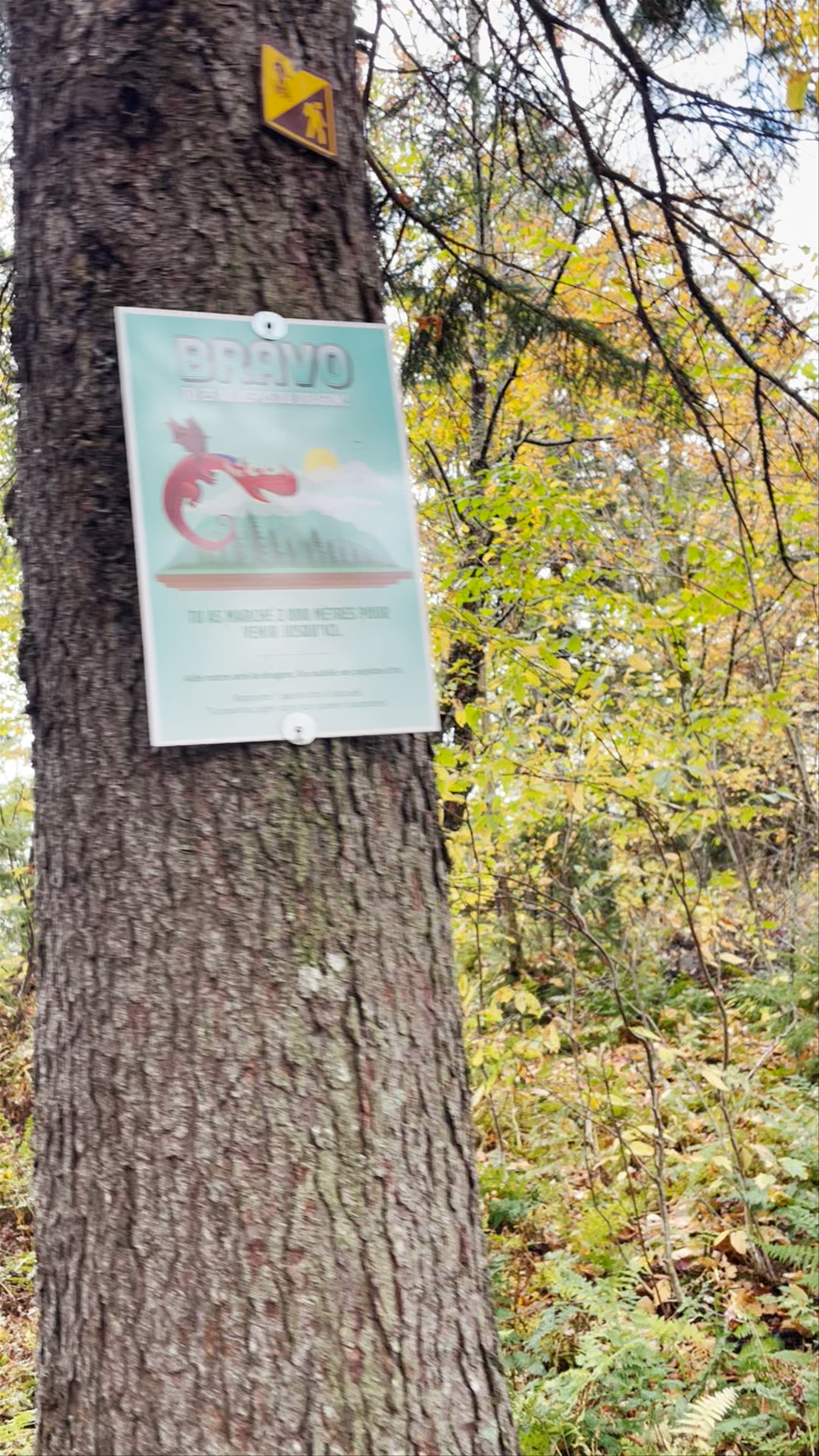 Passerelle de la Chute - Parc national du Mont-Mégantic