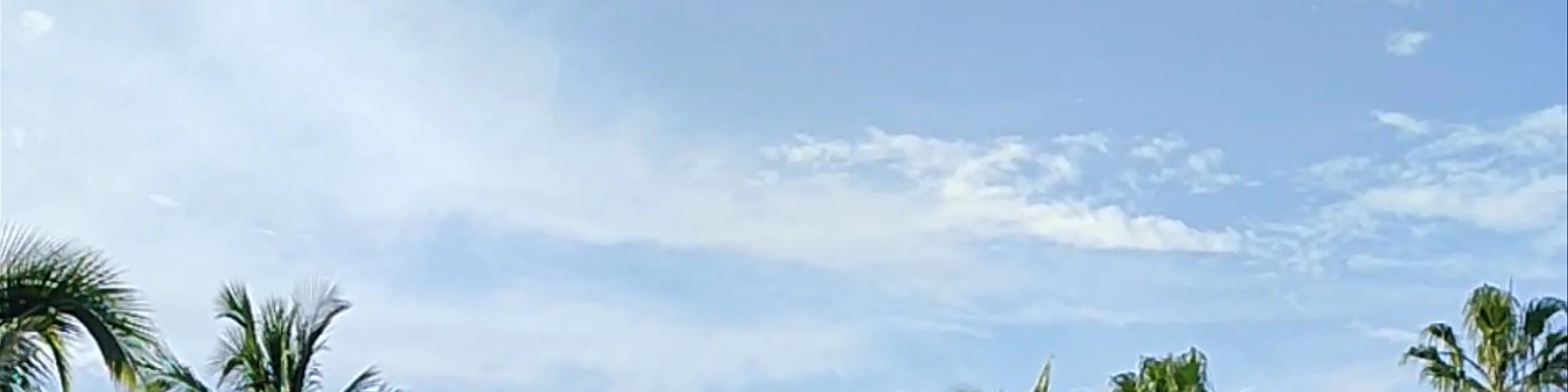 Loro Parque