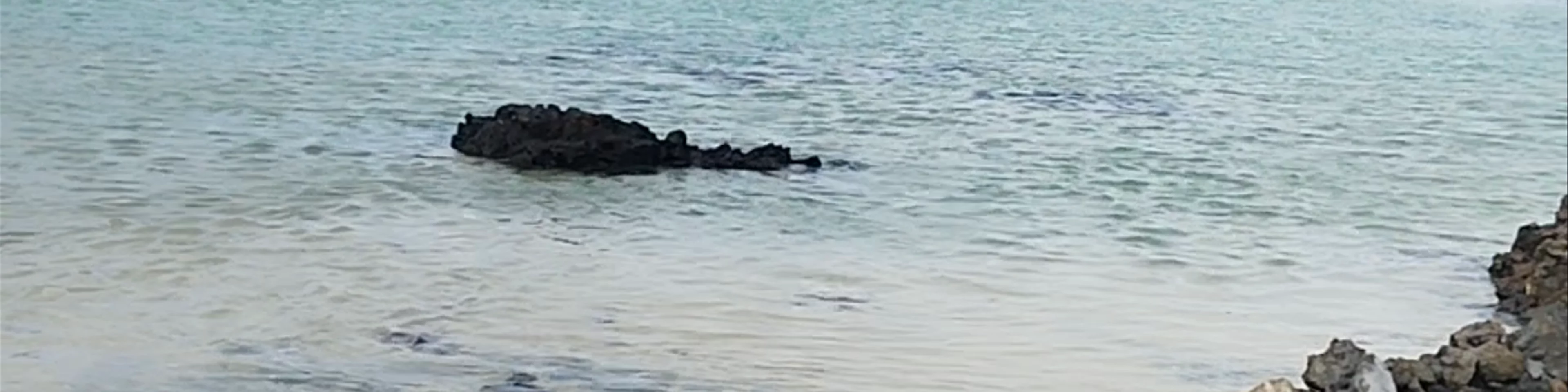 Caleta del Mojón