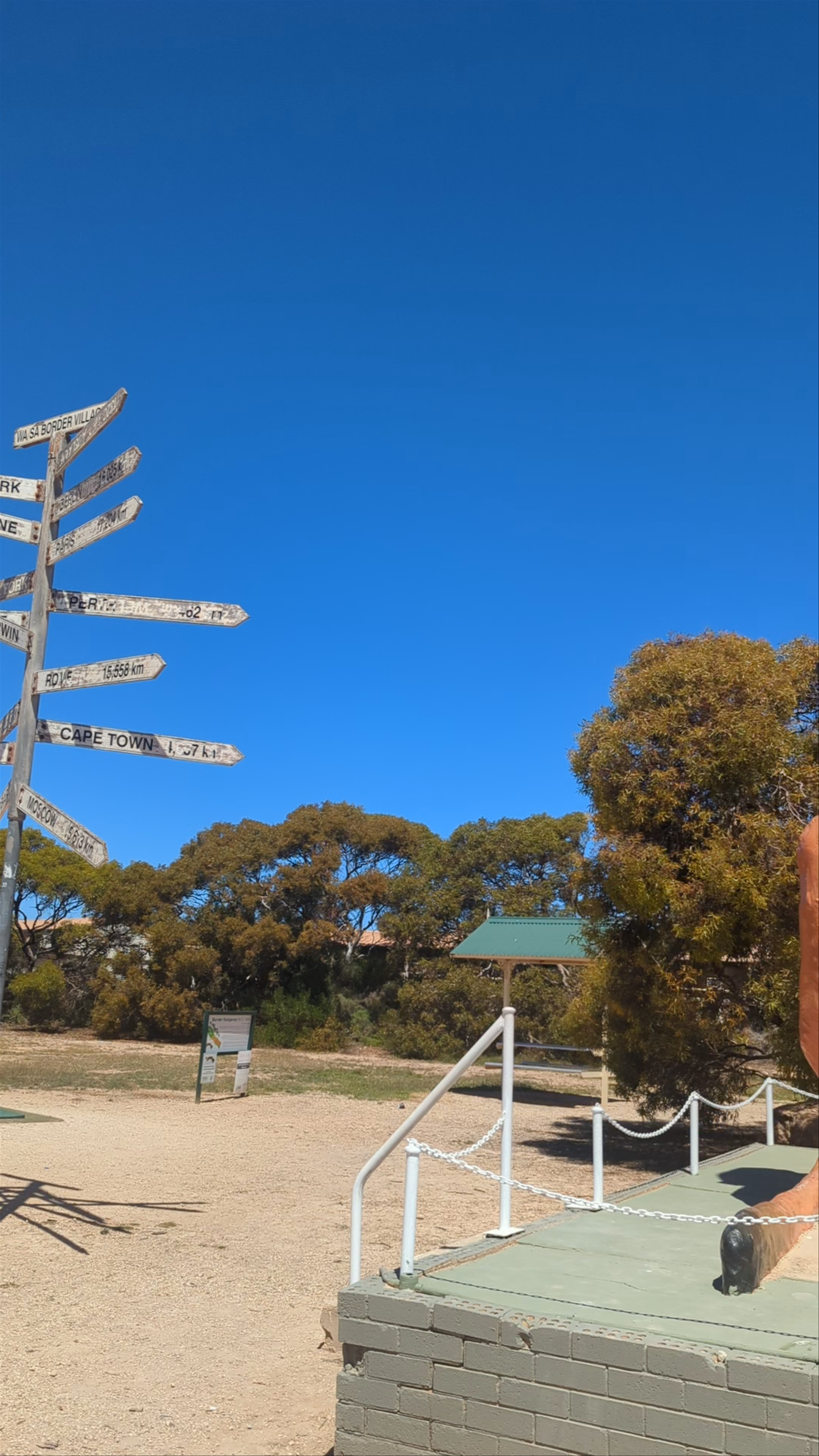 The Big Kangaroo - Rooey II