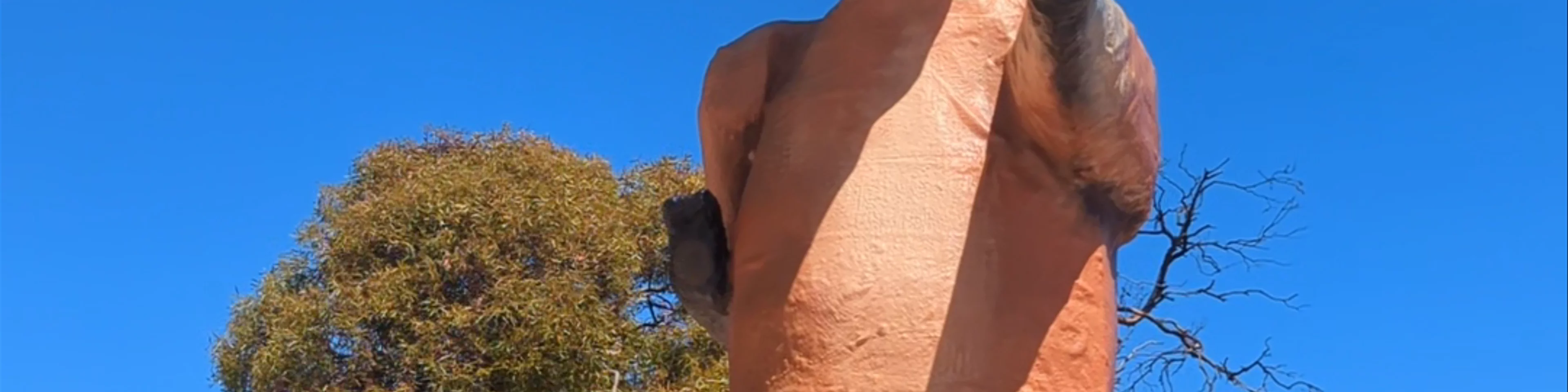 The Big Kangaroo - Rooey II