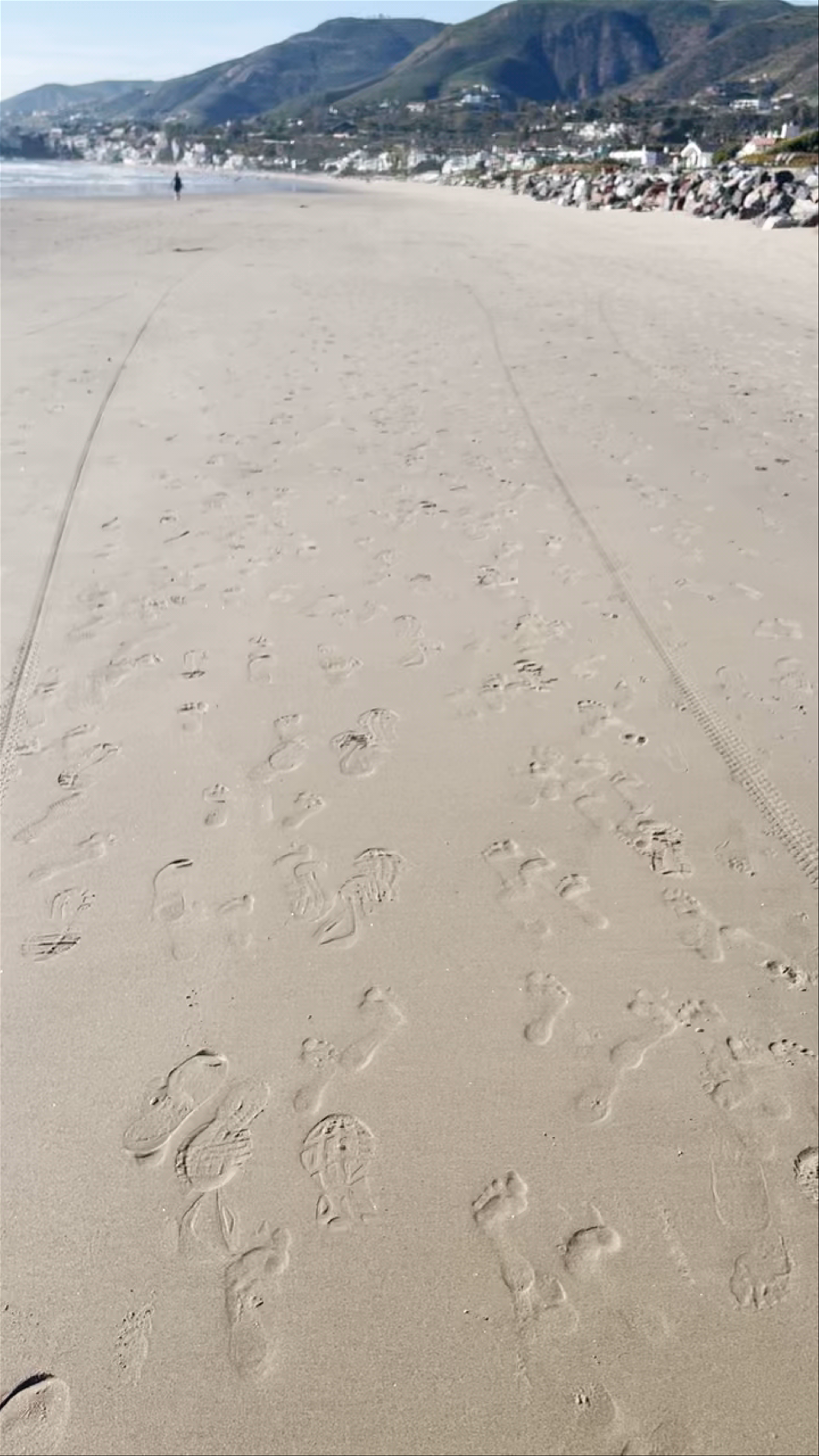 Sun-Kissed Stroll Along Malibu Beach