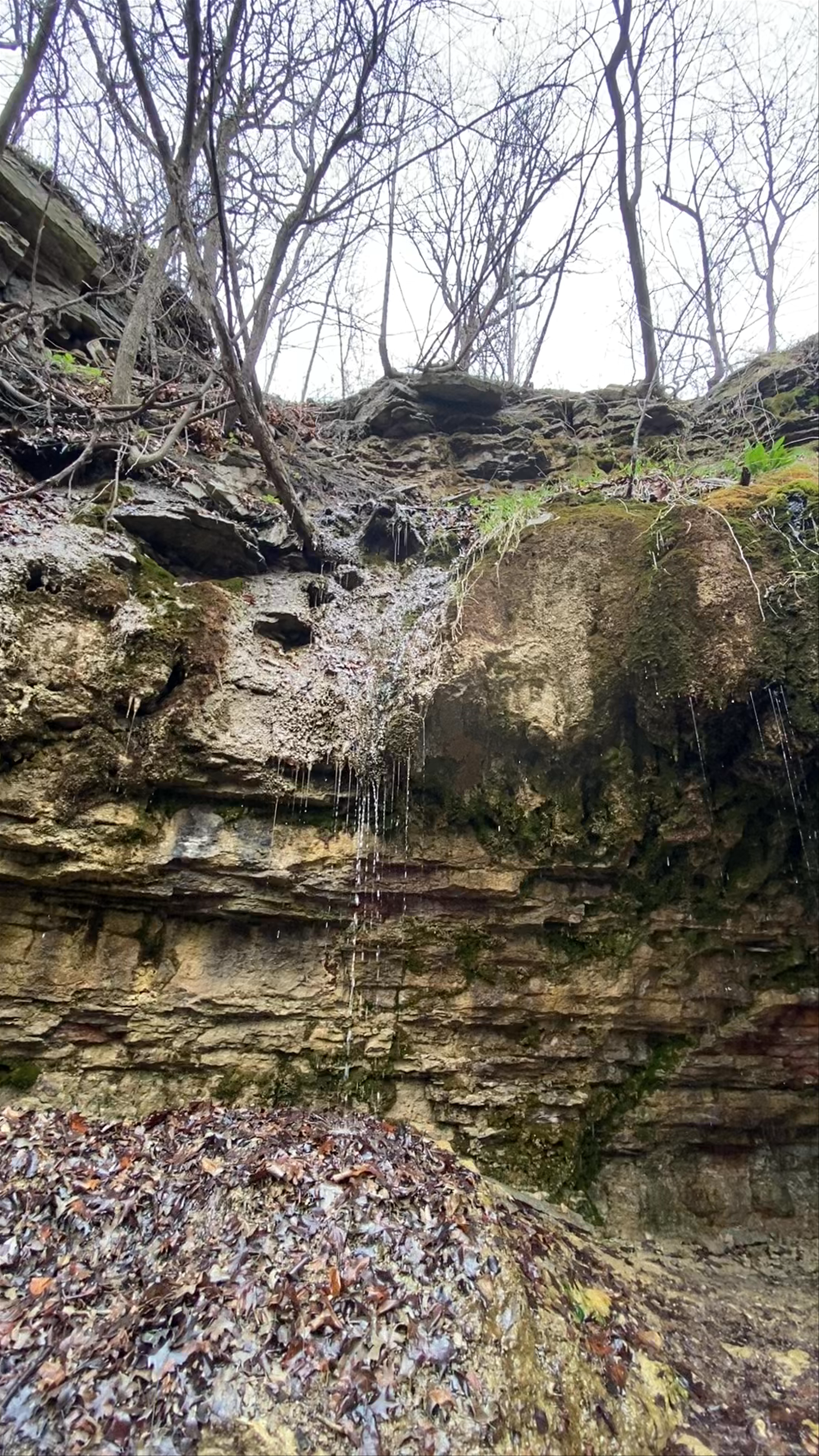 Shadow Falls Park