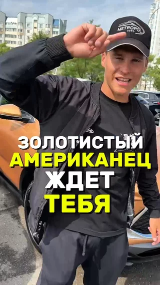 Золотистый Американец ждет тебя