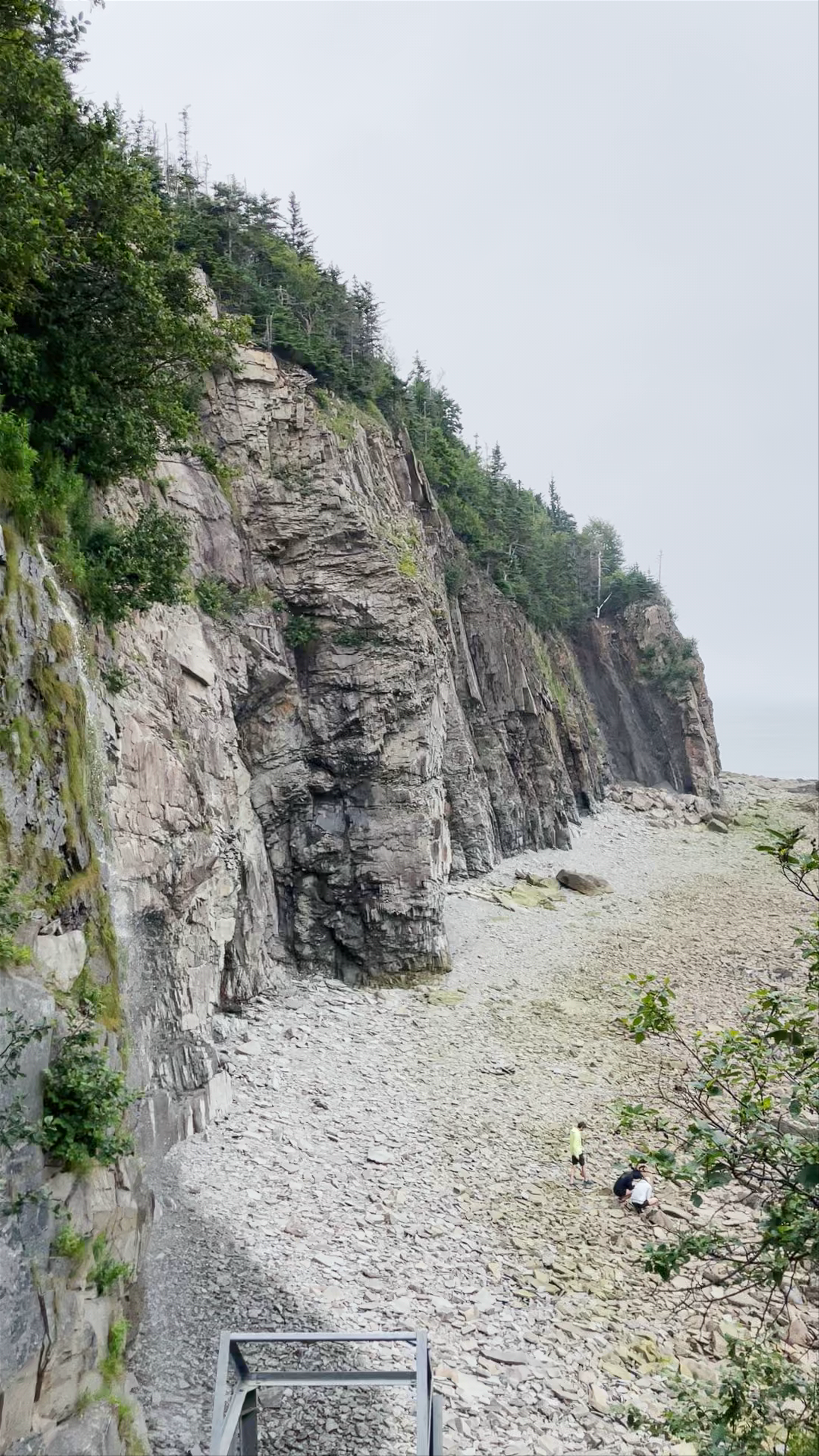 Fundy's Cape Enrage