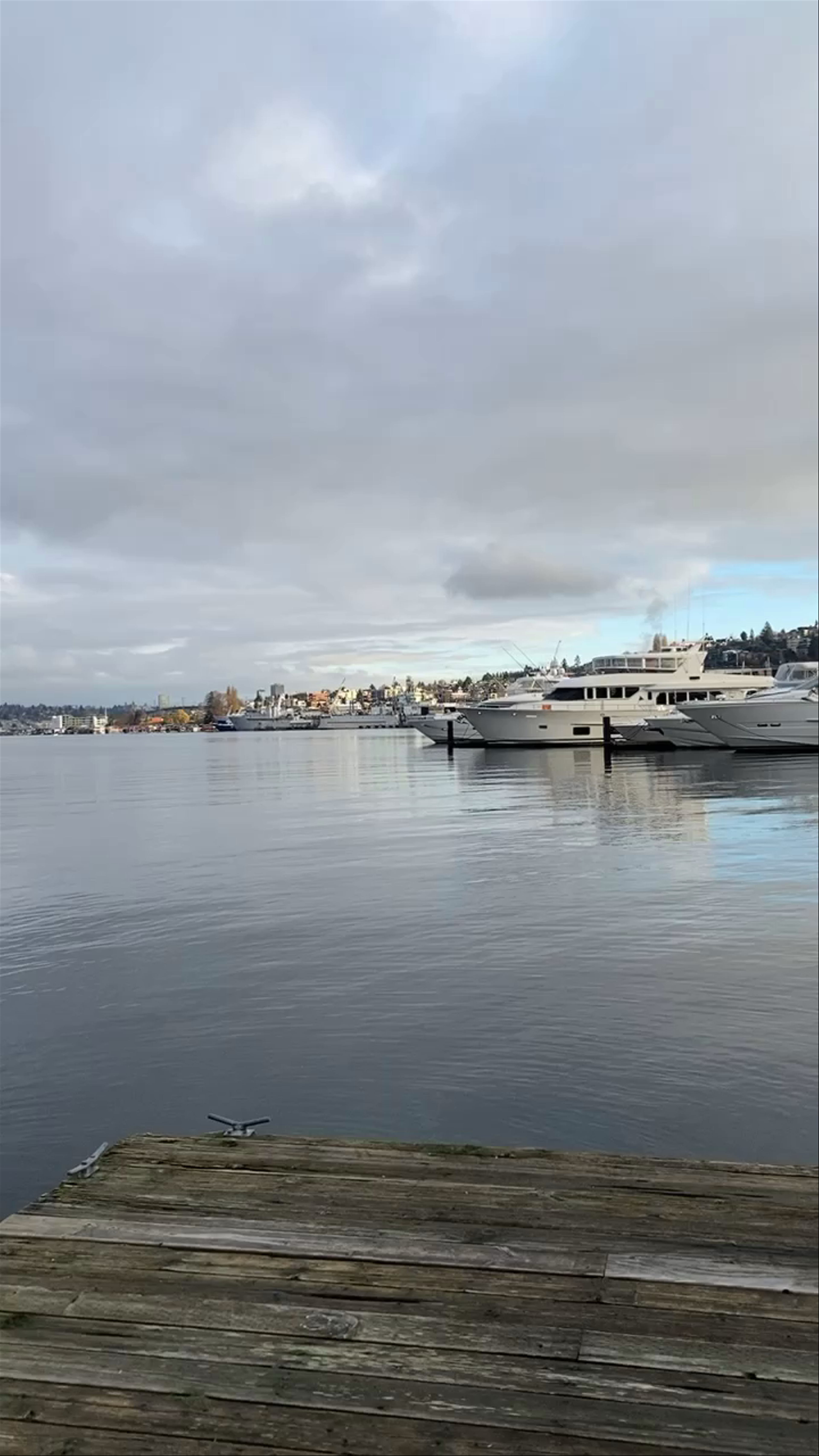 Serene Waterfront Views at Chandler's Cove, Seattle