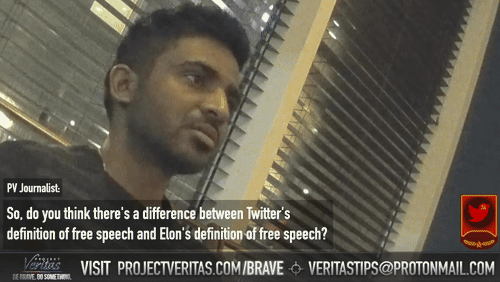 Video Thumbnail Loop