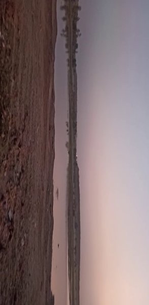 Photo of I have find peace in