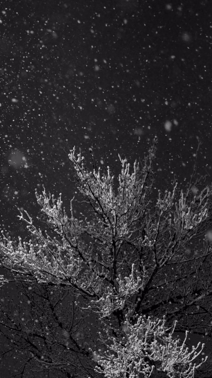 お疲れさま
🎥 Ahmed ؜ · Pexels
#癒し #リラックス #自然 #relax #healing