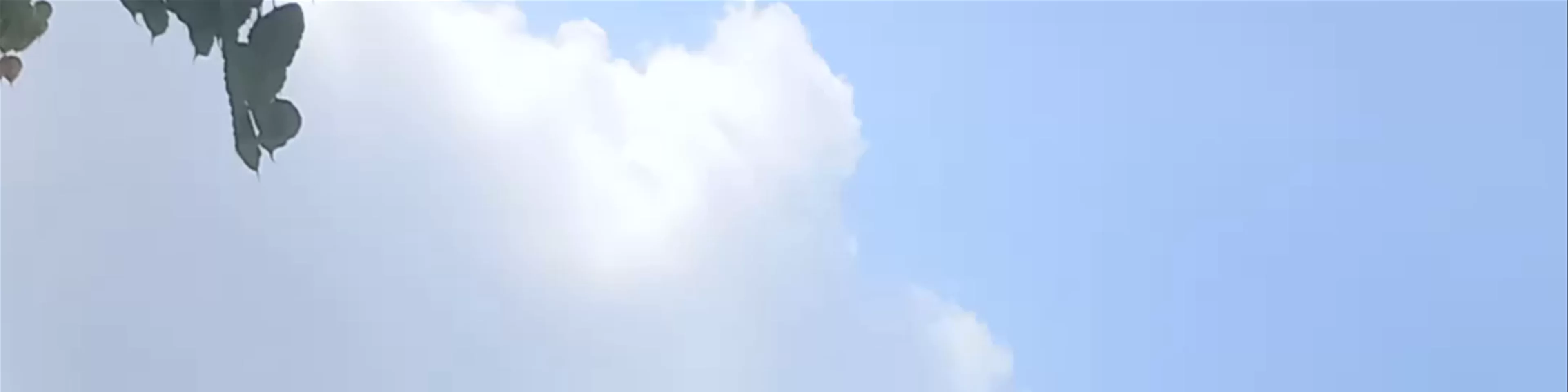 Giant Buddha Statue