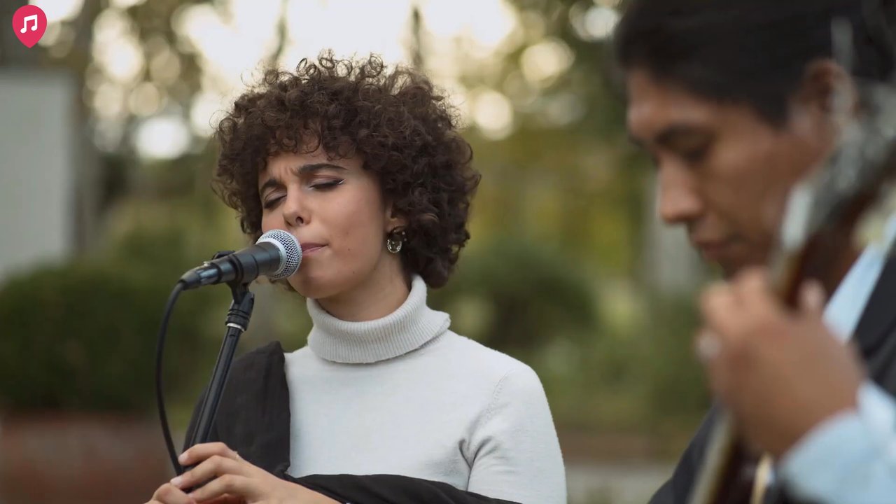 Jazz Fowls - Duo Live Showreel 2026 - video 2