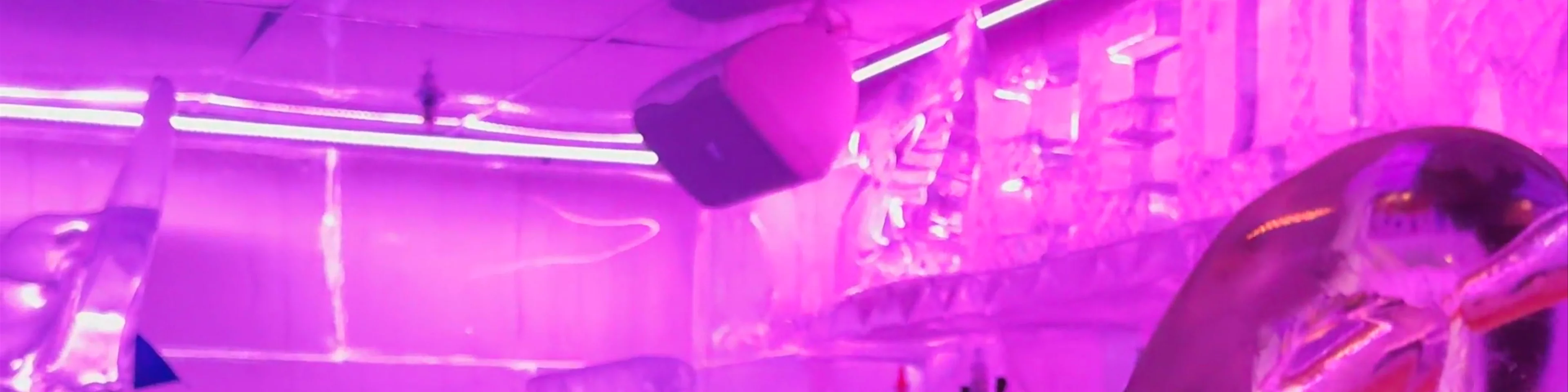 Below Zero Ice Bar