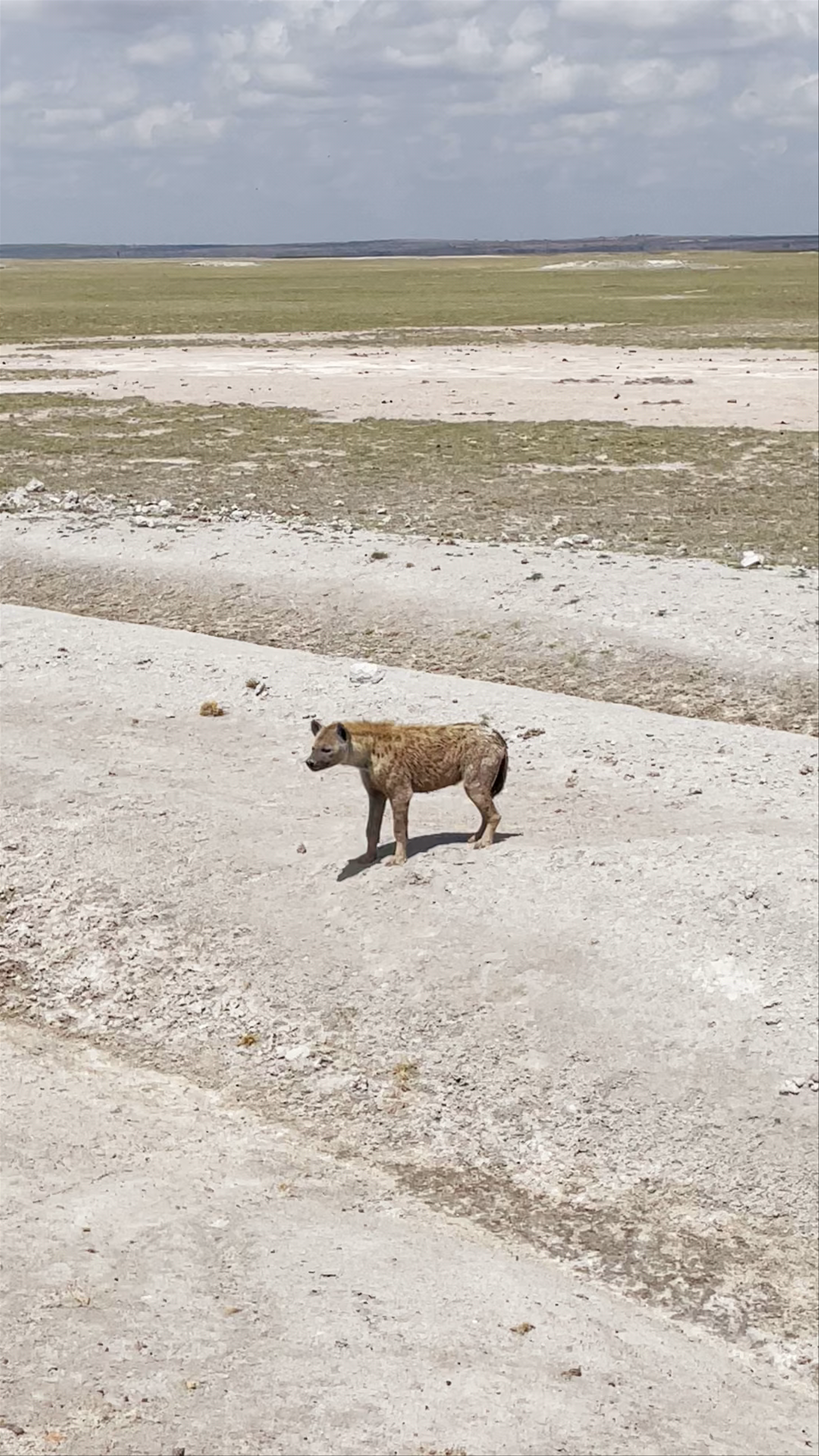 Amboseli National Park