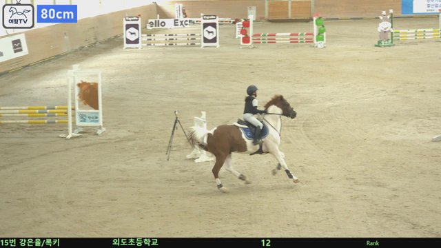 강은율 (록키) — 제1회 마이파이 코리아 챌린지 · 장애물 80cm