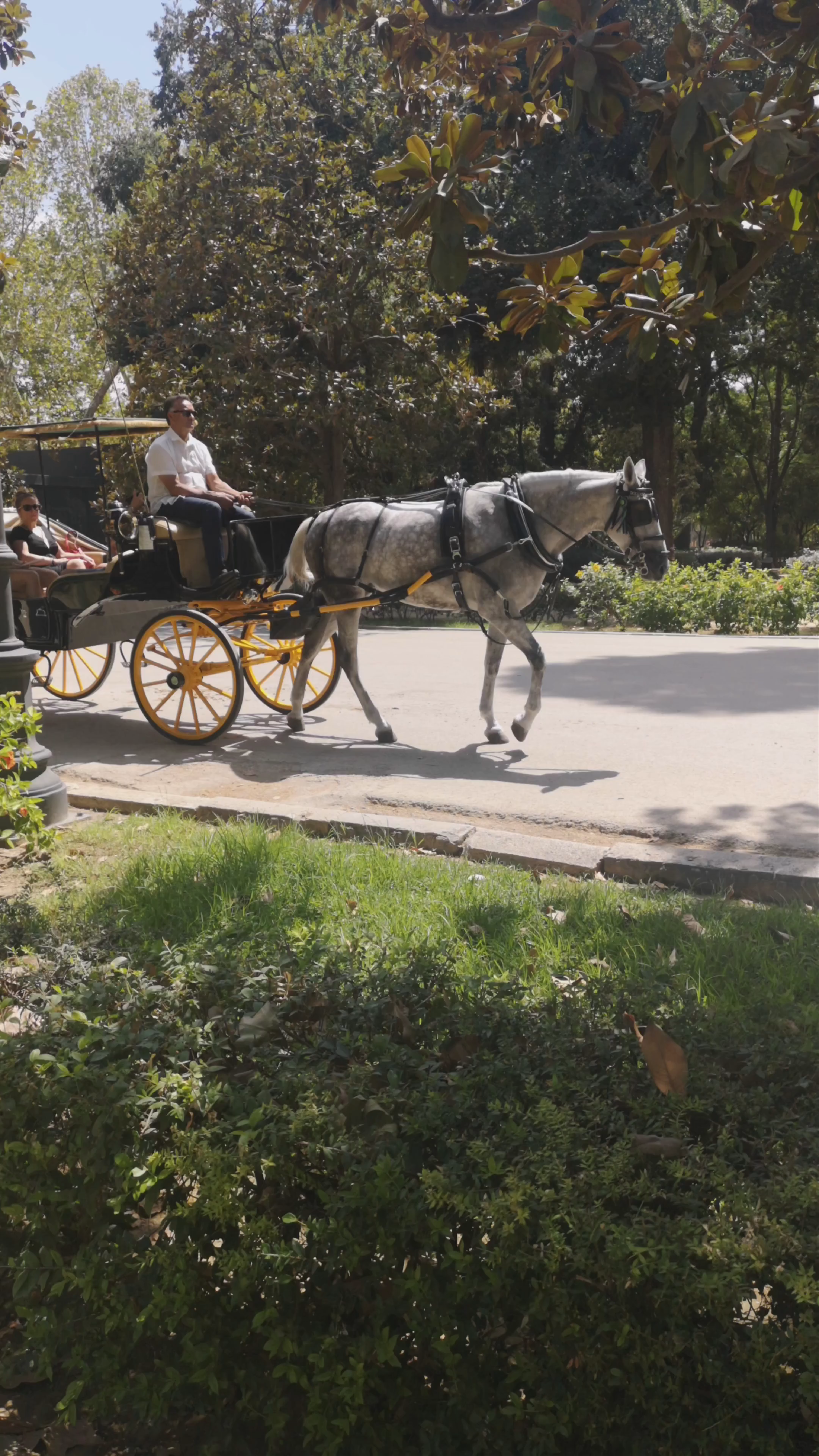 Parque de María Luisa