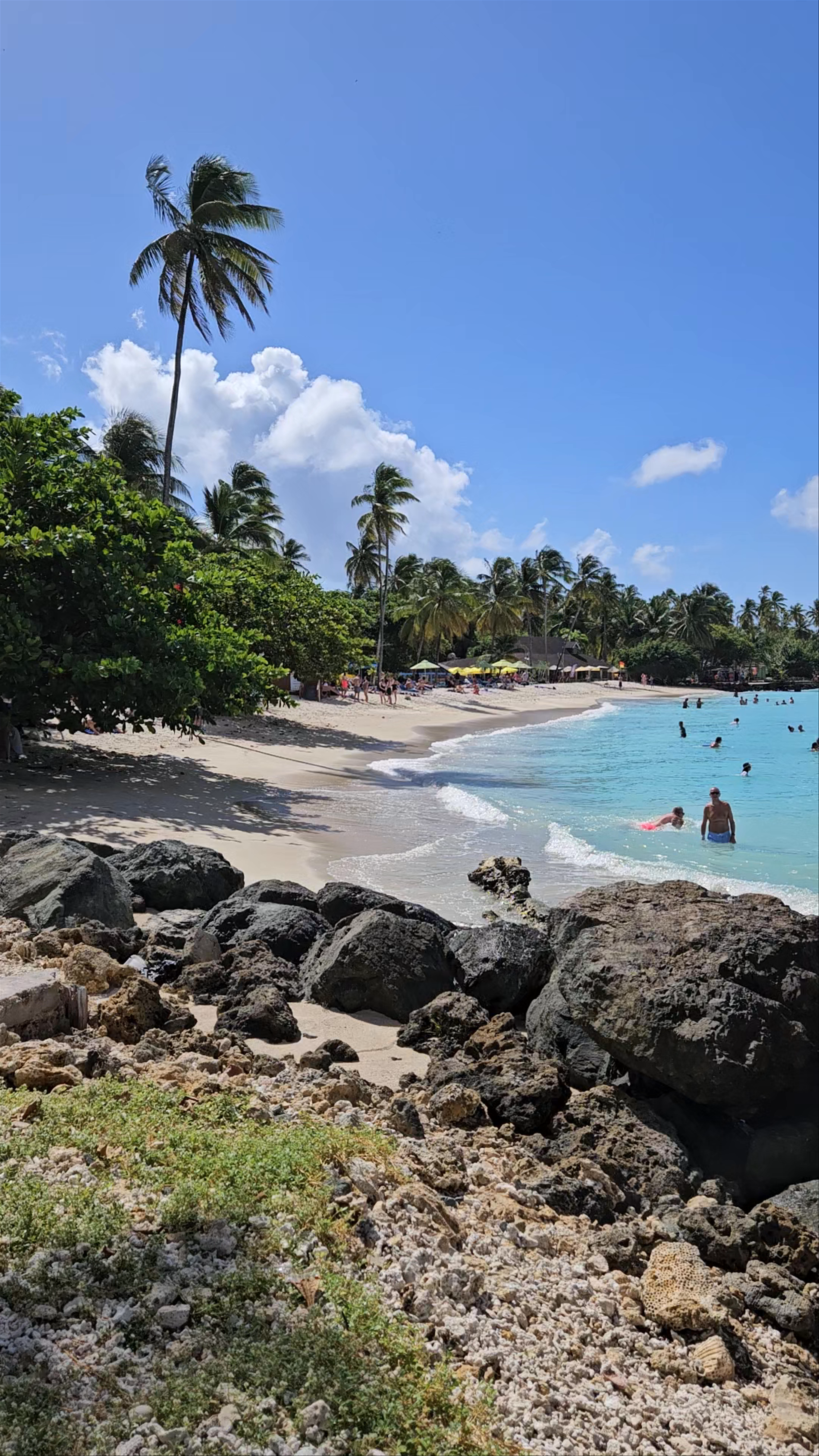 Pigeon Point Beach: Tropical Bliss in Trinidad and Tobago