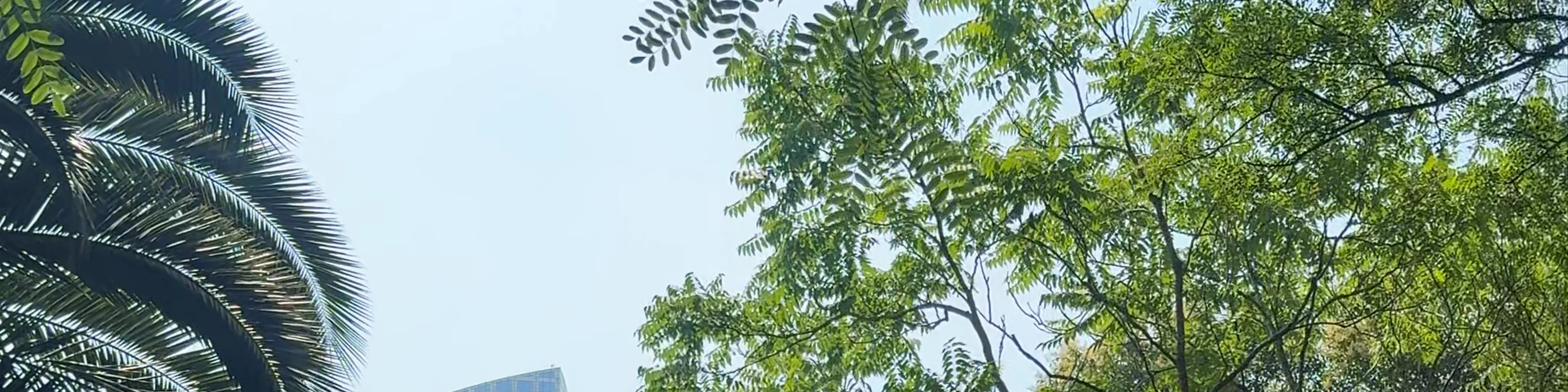 Reserva Ecológica Costanera Sur