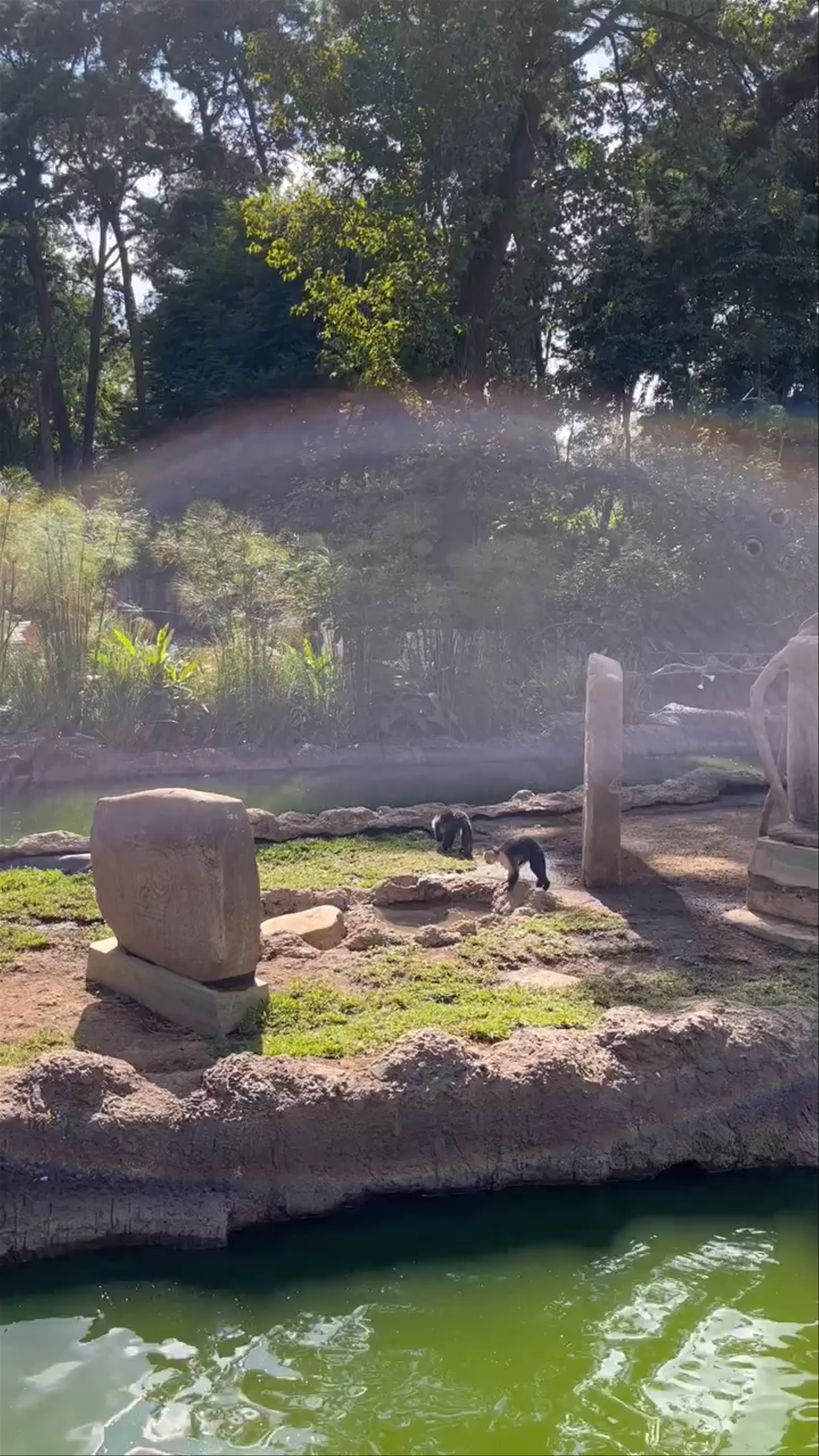 Zoológico La Aurora