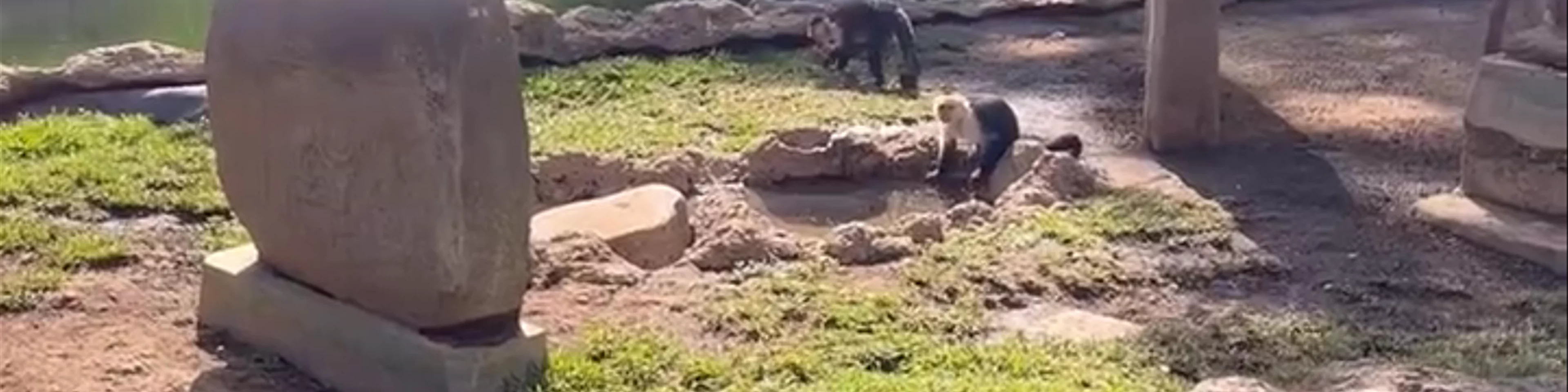 Zoológico La Aurora