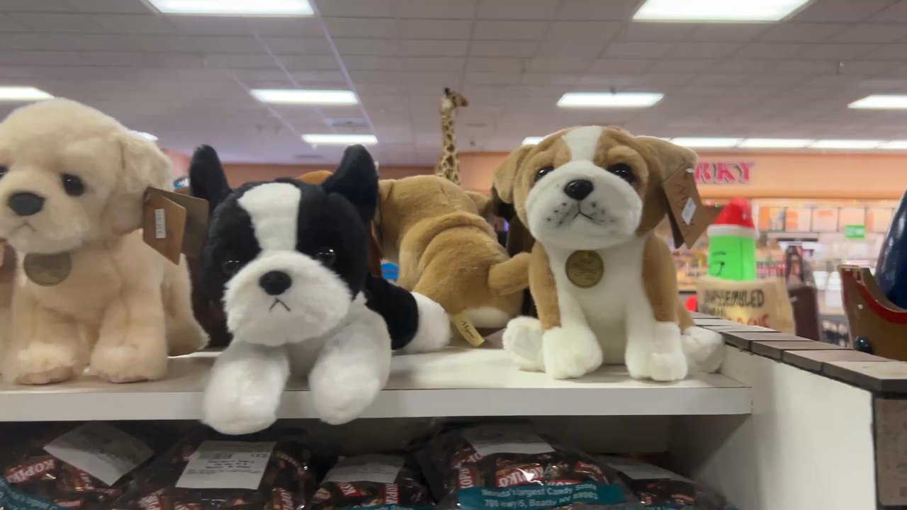 Death Valley Nut & Candy - It's raining dogs here! So cute! - Candy Stores Near Me - Beatty, Nevada
