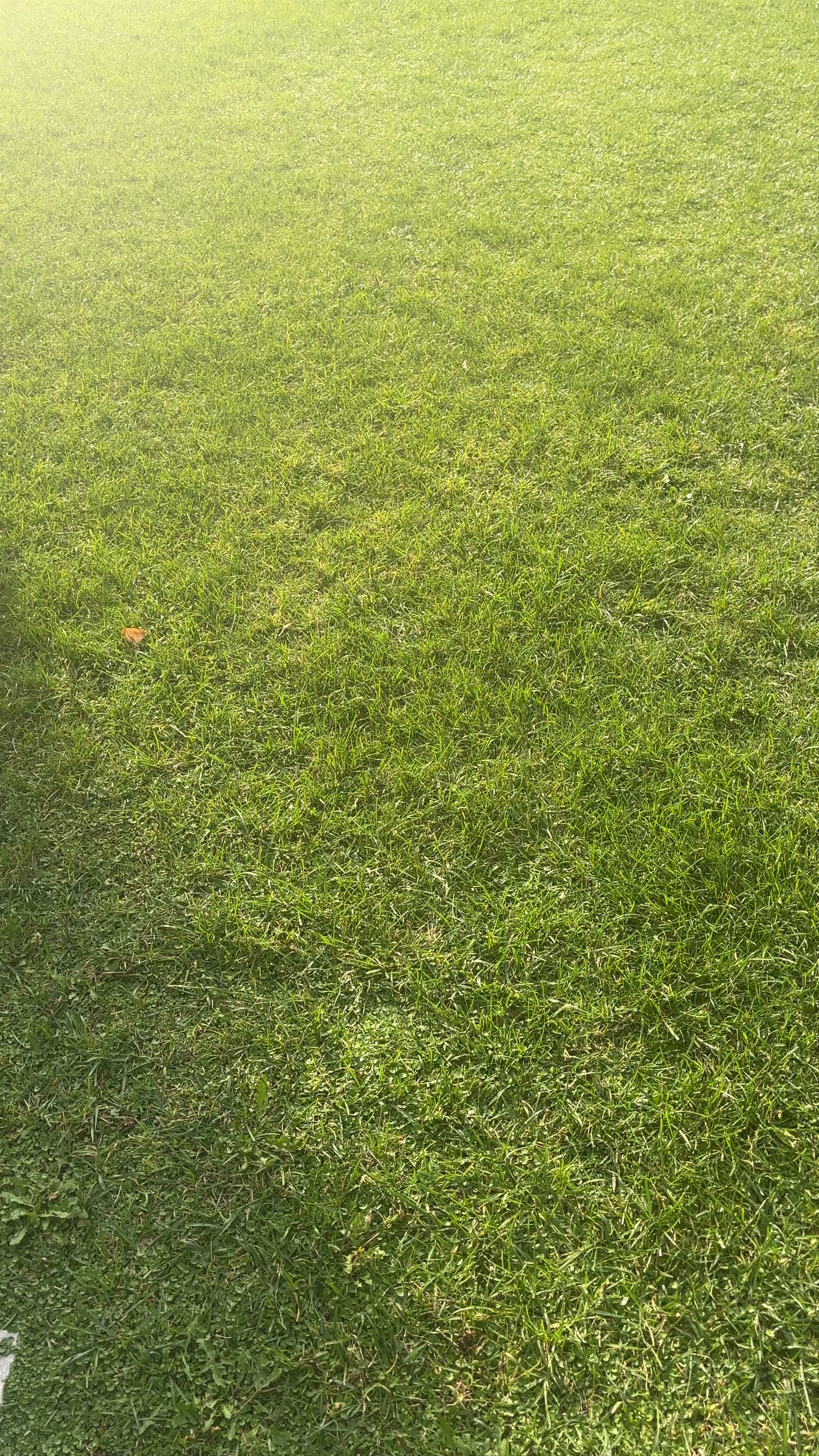 Leaning Tower of Pisa