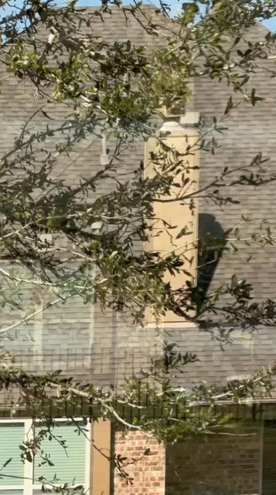 Nice and Shine - Windows clean - Glass & Mirrors Near Me