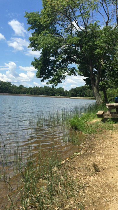 Keystone State Park - Sunday in August, but Keystone Lake State Park is large and open enough that it never feels crowded. - Parks Near Me - Derry, Pennsylvania