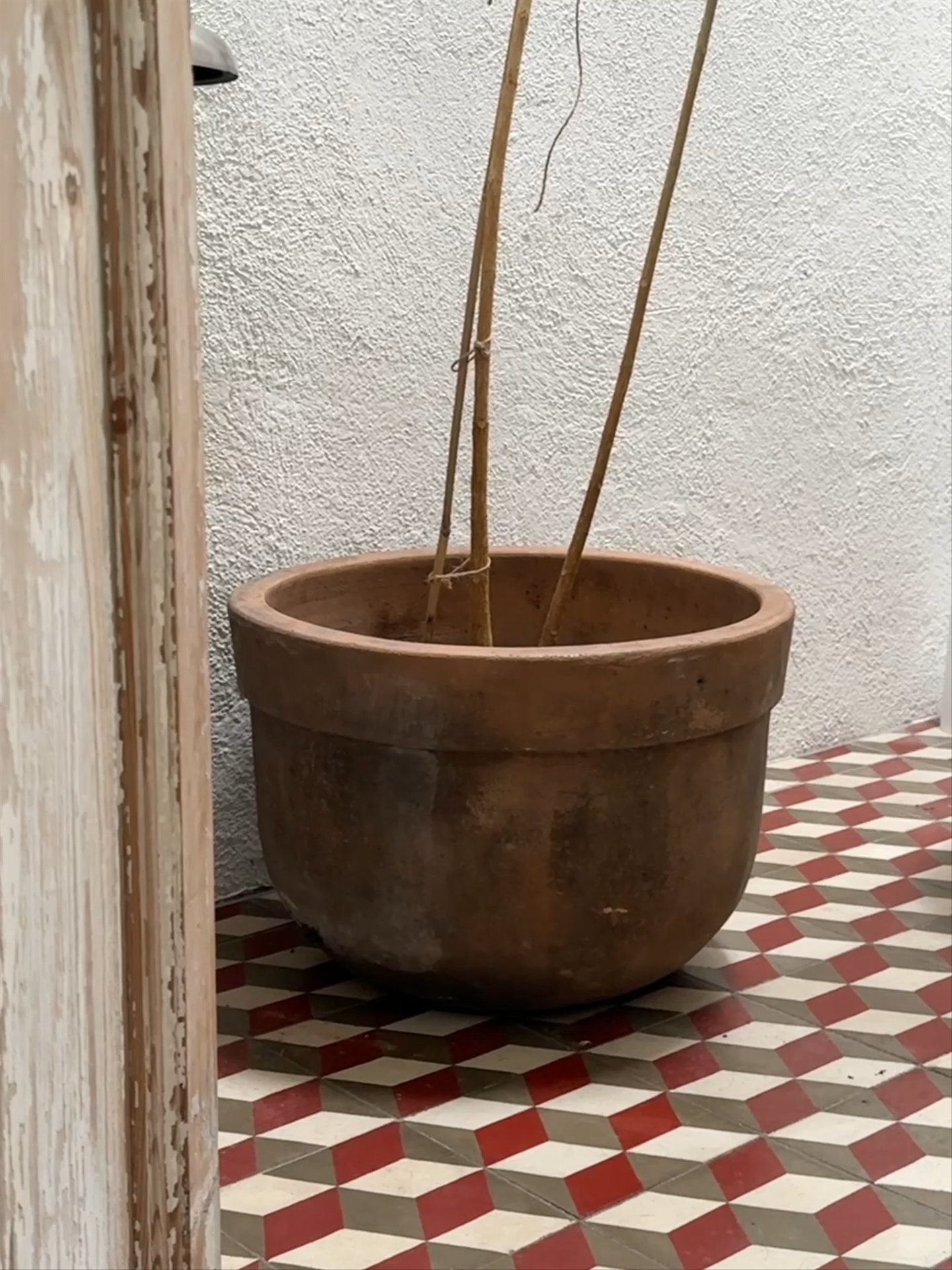 Mexican Planter