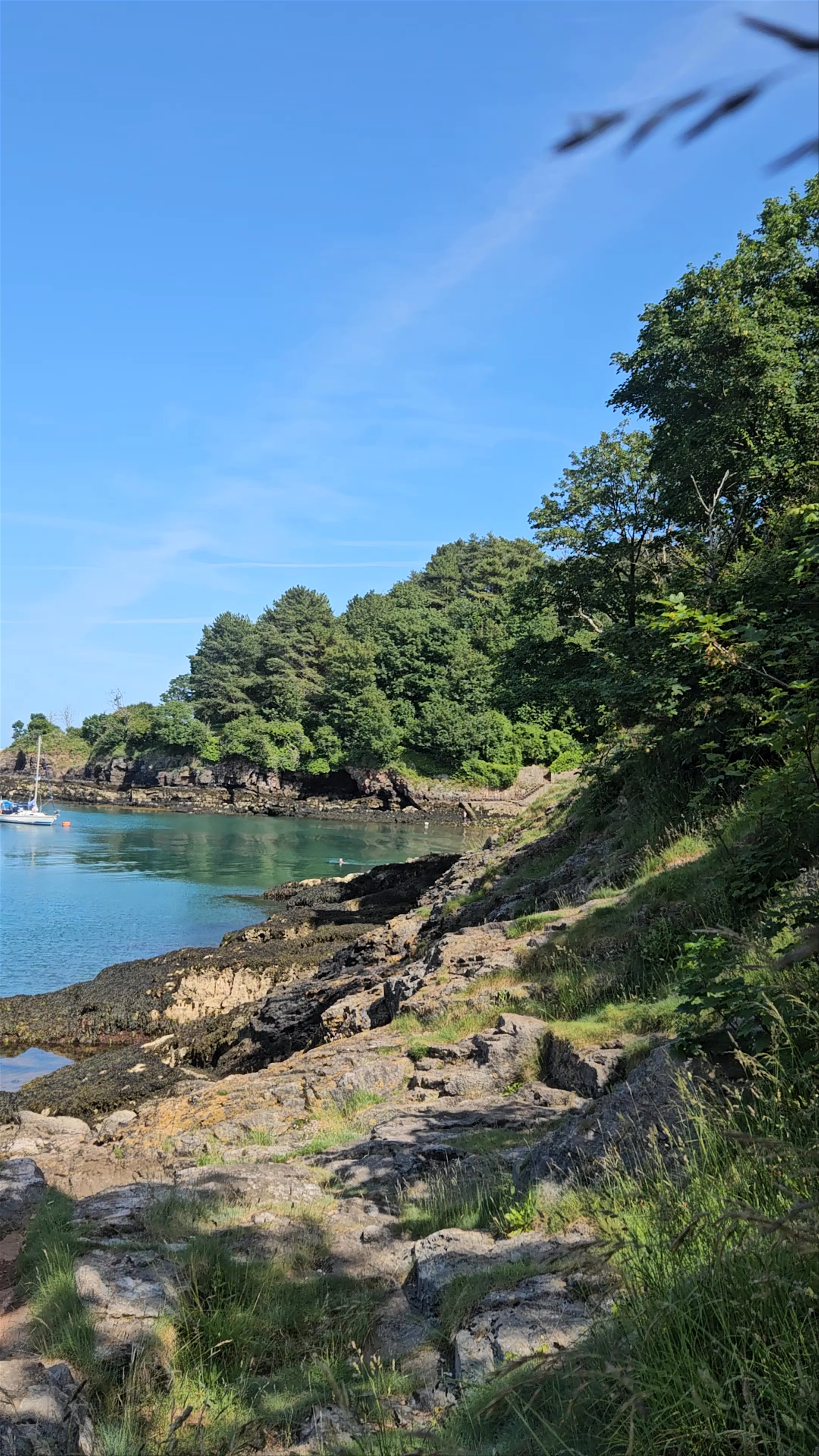 Serene Coastal Escape at Churston Cove, Brixham