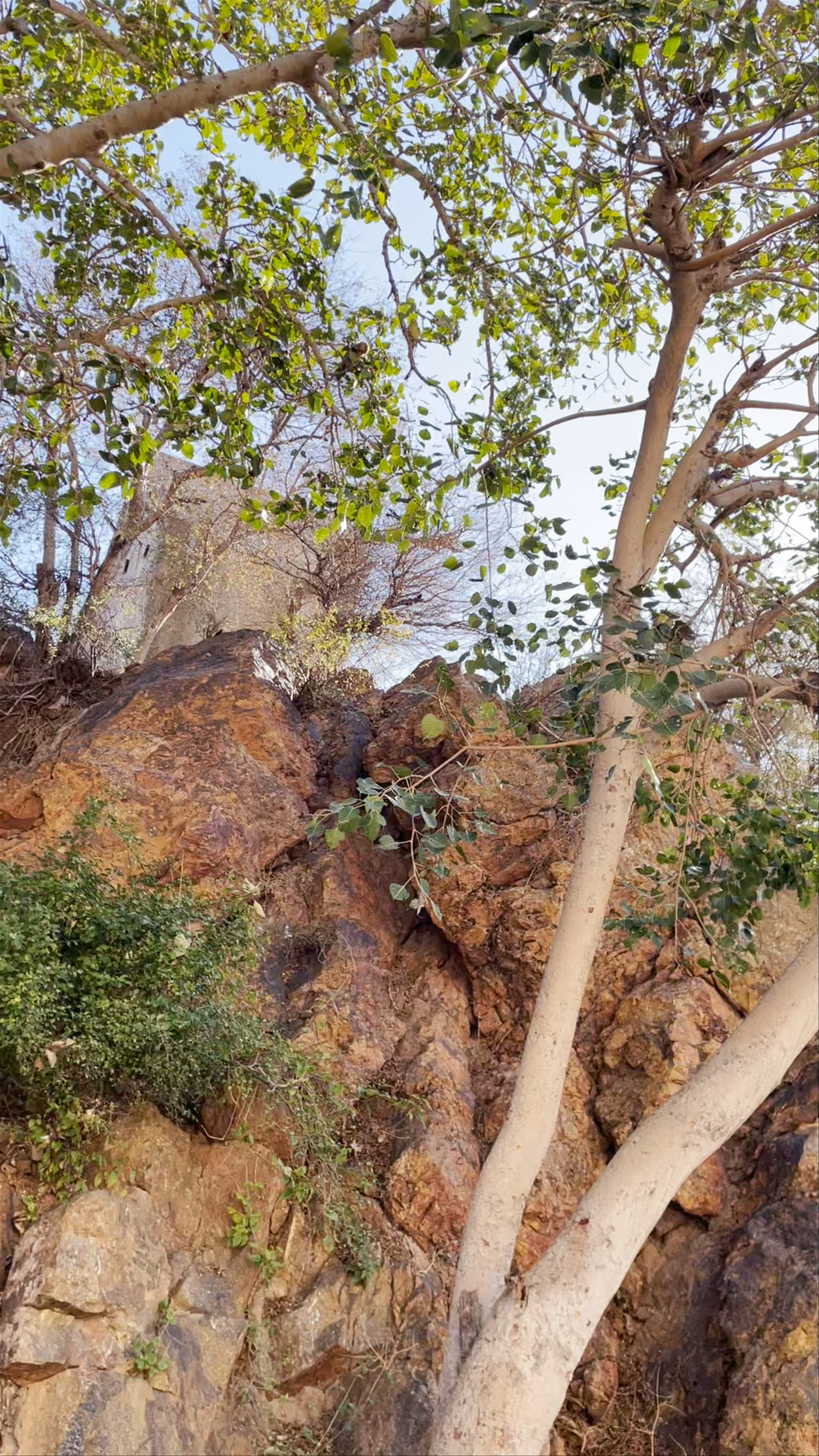 Siliserh Lake Palace