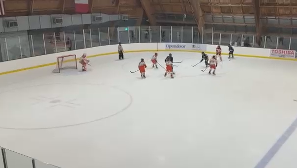 Alisa Tarnikova Goal vs 16AAA Ducks | San Jose Jr. Sharks