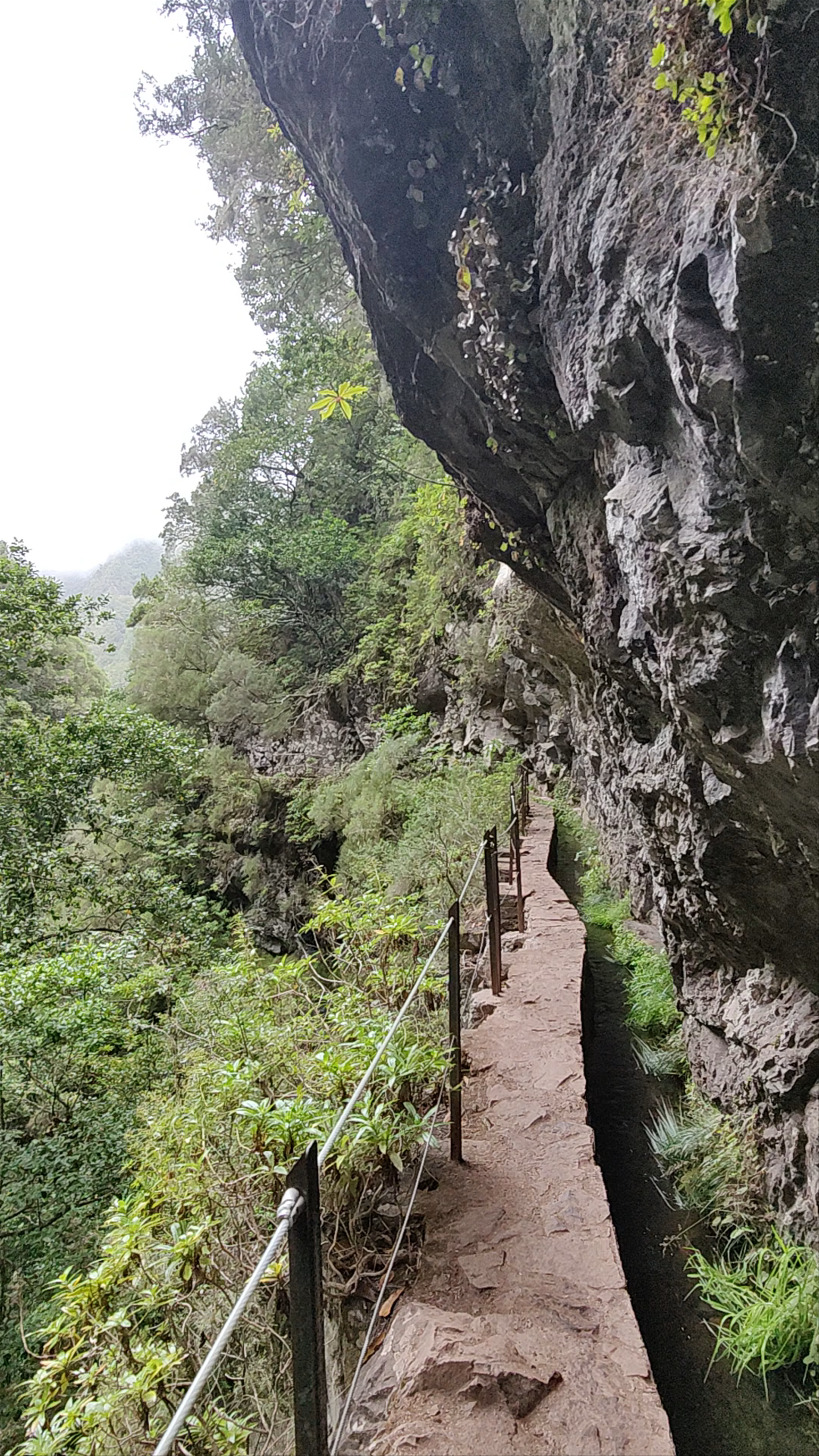 PR9 Levada do Caldeirão Verde: A Lush Madeira Hiking Escape