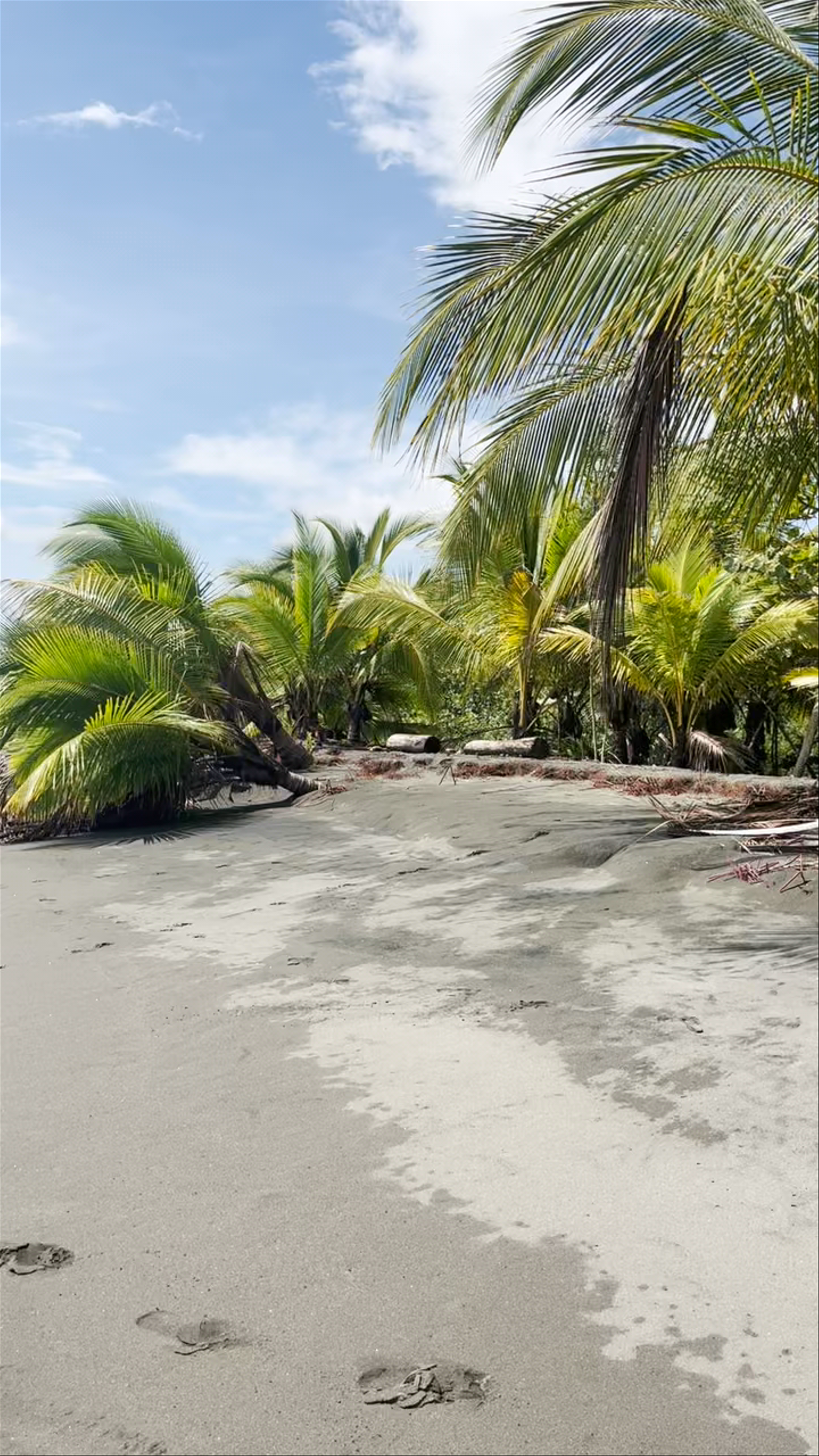 Playa Grande en Cahuita