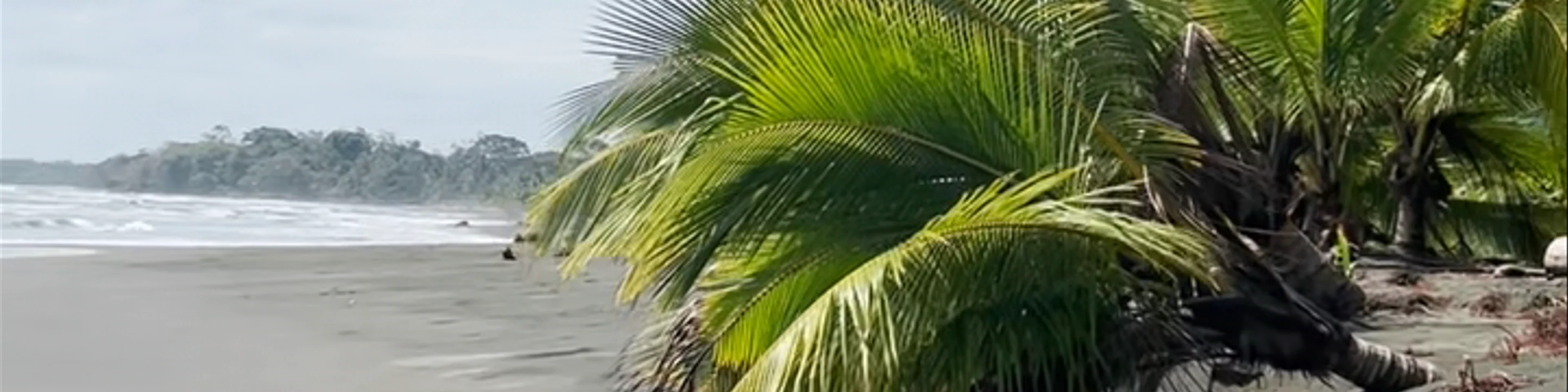 Playa Grande en Cahuita