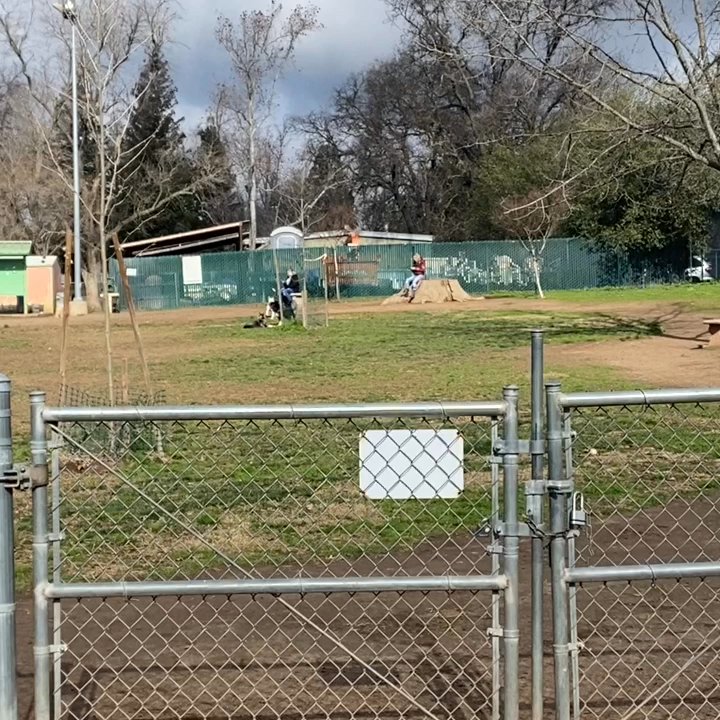 Carmichael Dog Park - If you're on your phone or talking you're not watching your dogs take shits/start fights. Negligent idiots - Dog Parks Near Me - Carmichael, California
