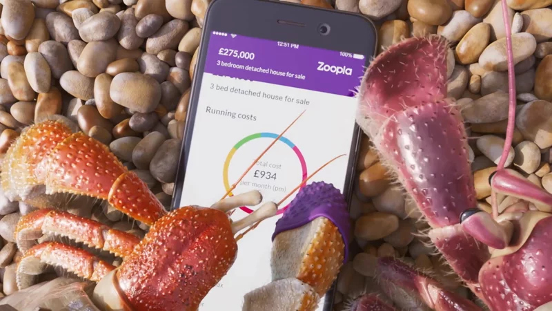 Moodboard — Zoopla